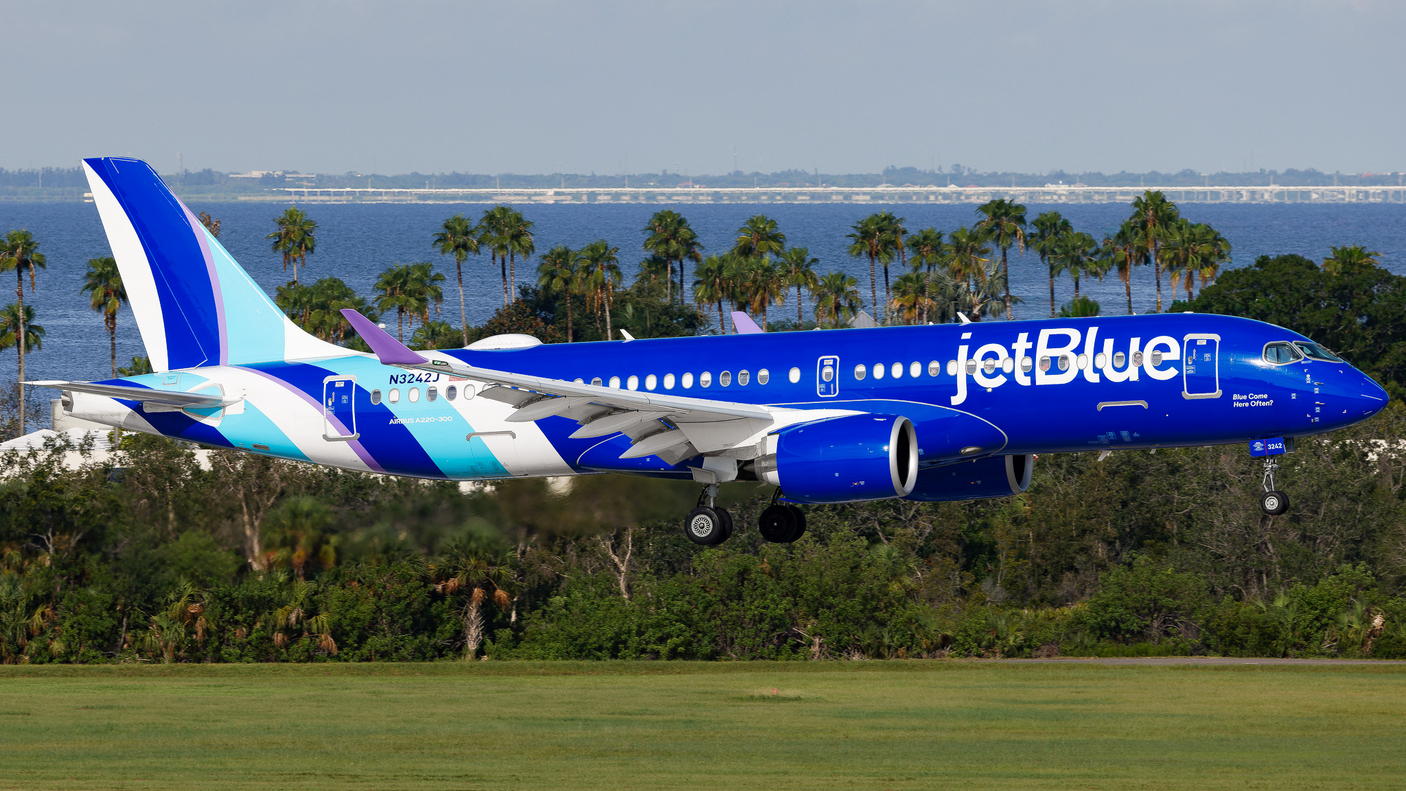 Full size: JetBlue Airways Airbus A220-300 N3242J at Tampa International Airport