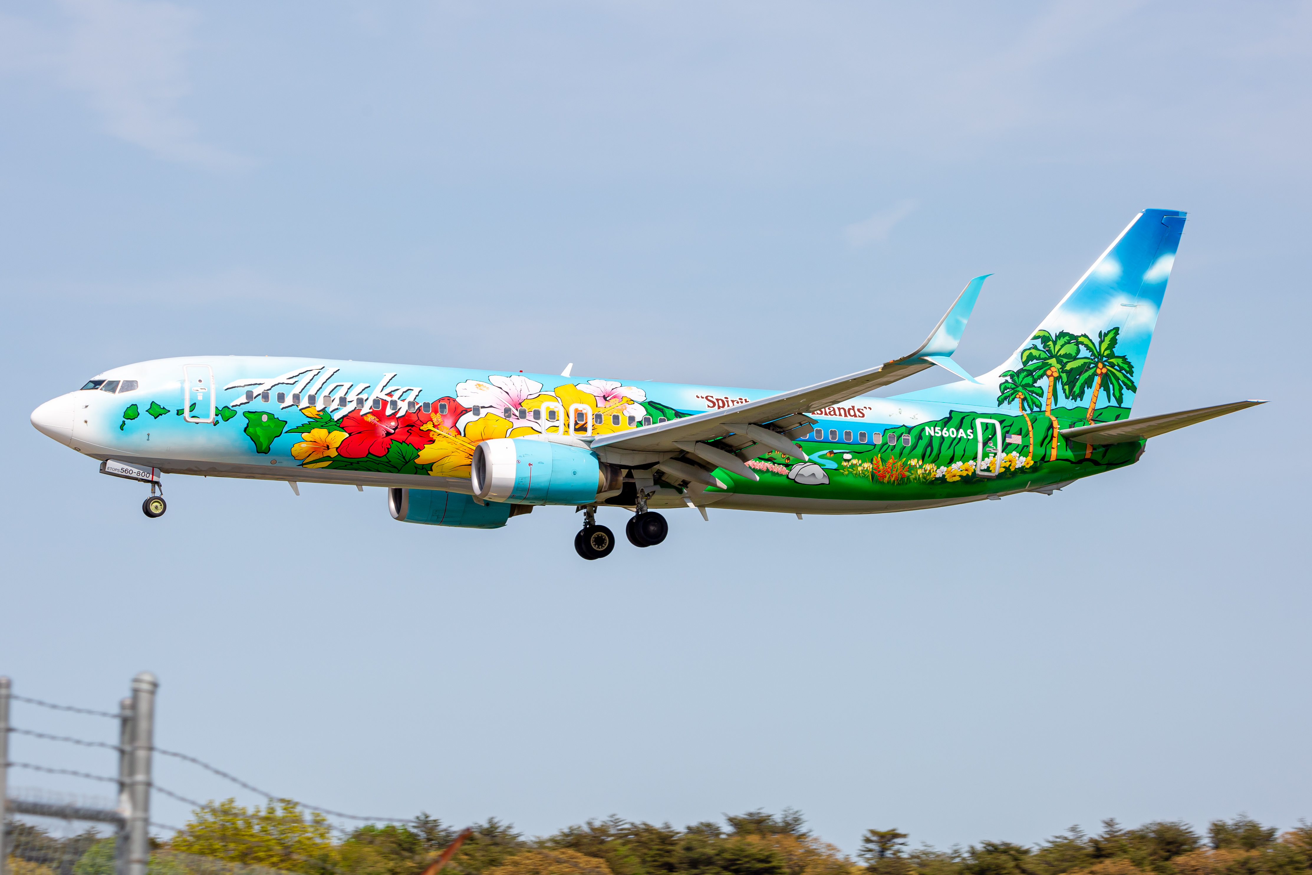 Full size: Alaska Airlines Boeing 737-800 N560AS at Baltimore/Washington International Thurgood Marshall Airport