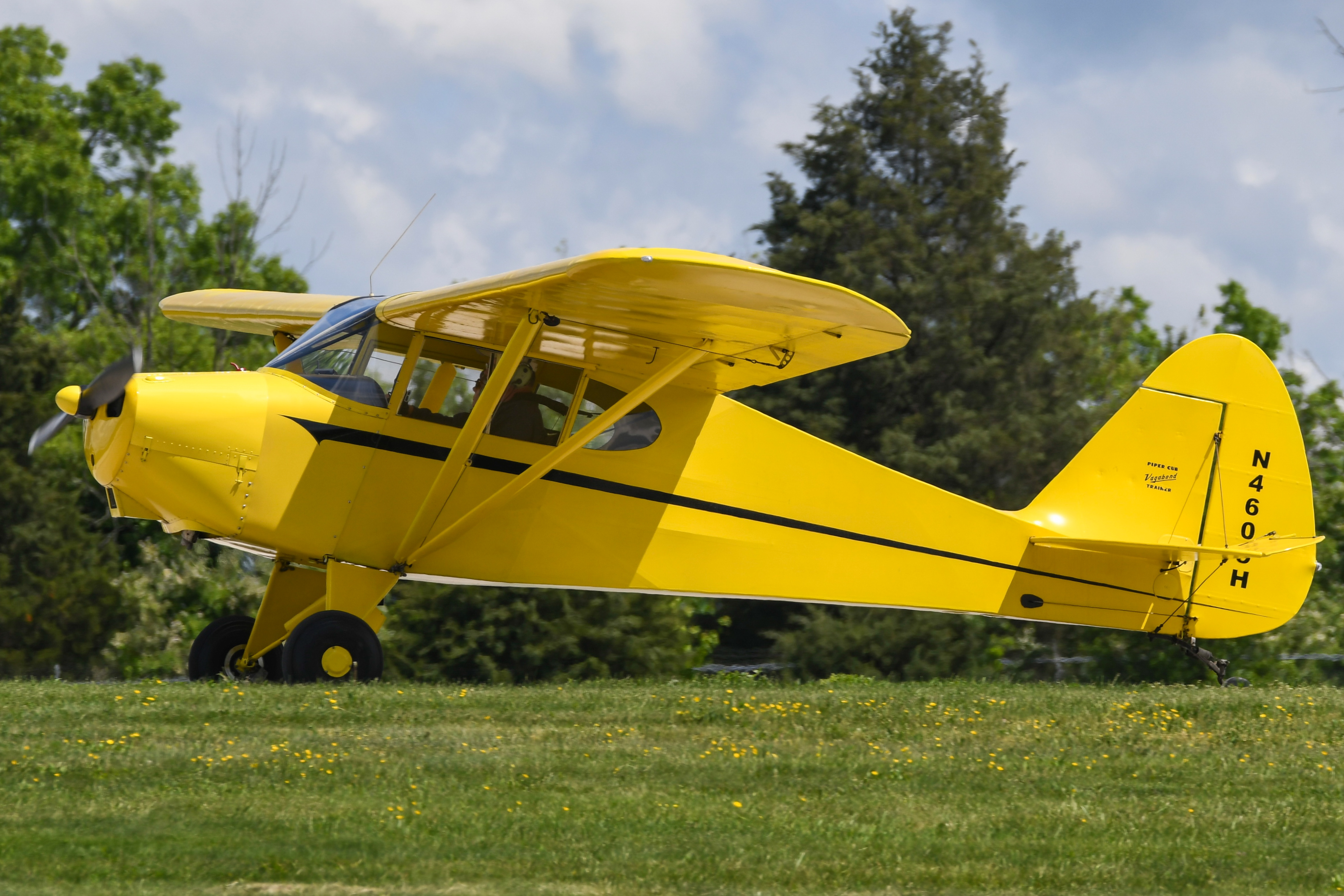 Full size: PRIVATE Piper PA-17 N4605H at Heritage Field Airport