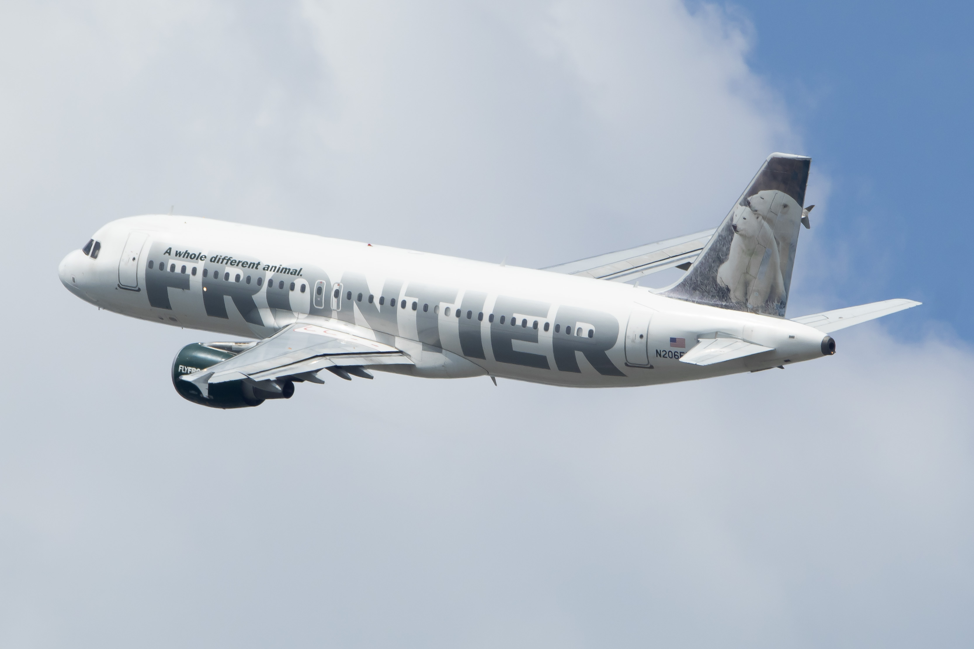 Full size: Frontier Airlines Airbus A320 N206FR at Newark Liberty International Airport