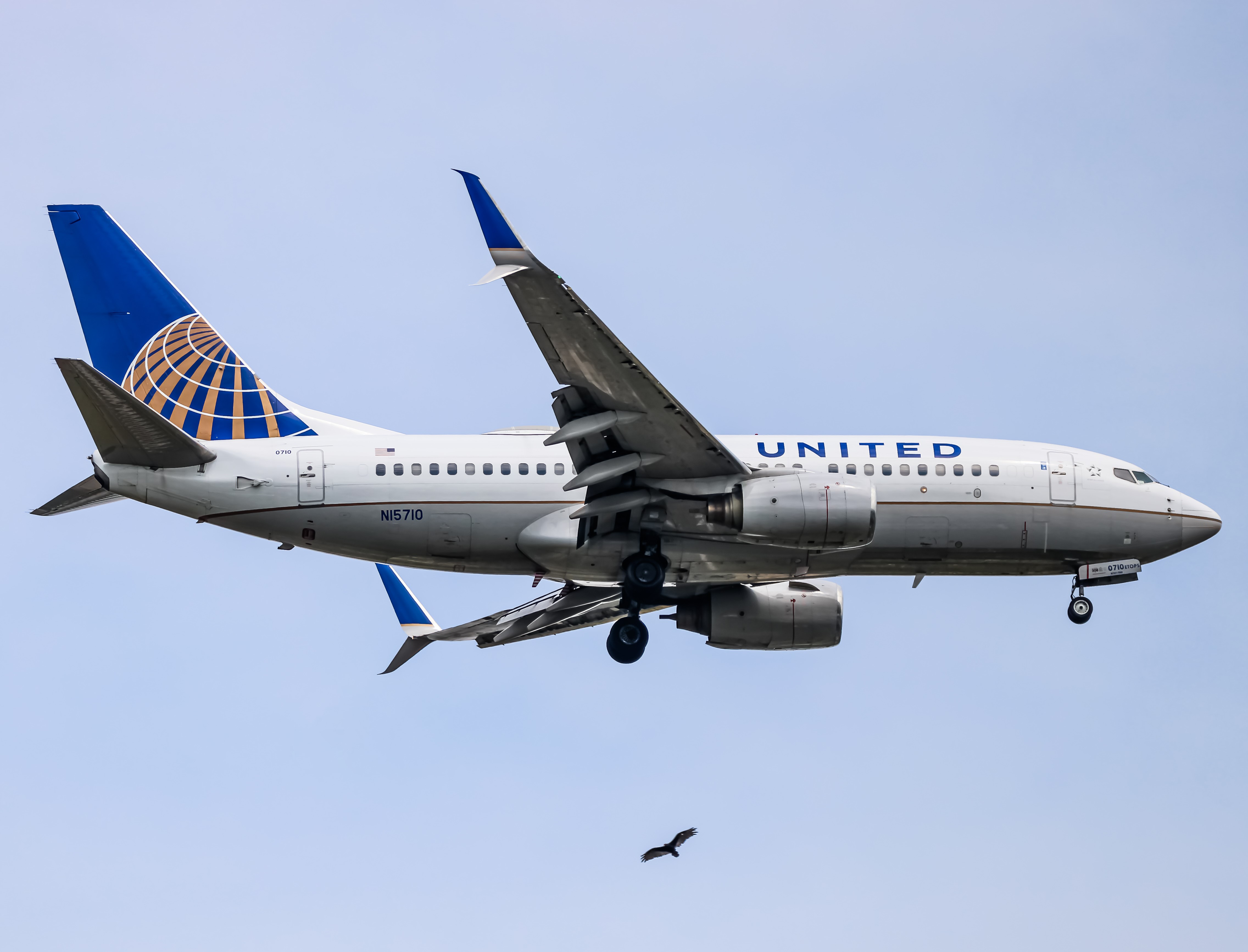 Full size: United Airlines Boeing 737-700 N15710 at Washington Dulles International Airport