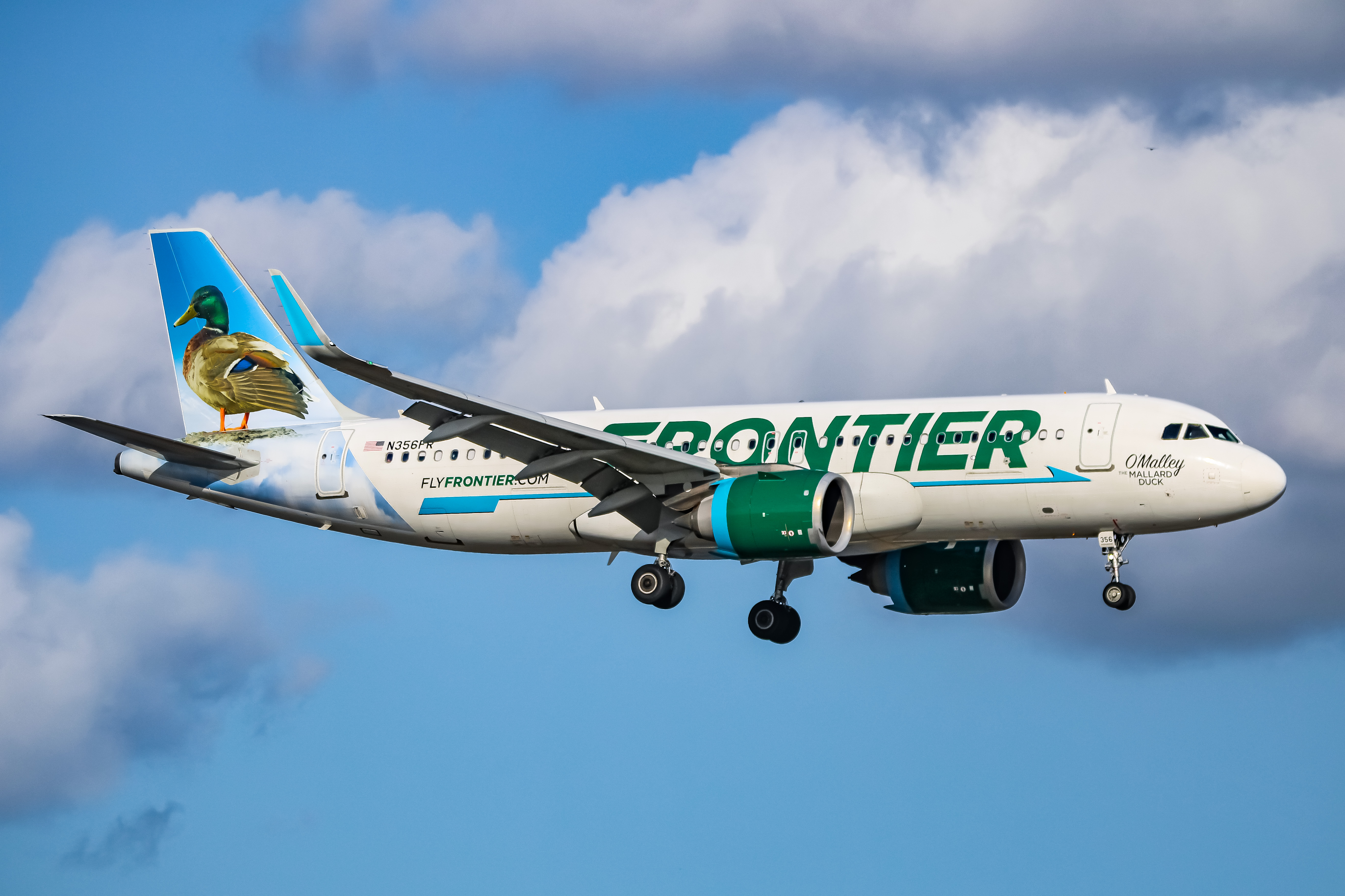 Full size: Frontier Airlines Airbus A320NEO N356FR at Orlando International Airport
