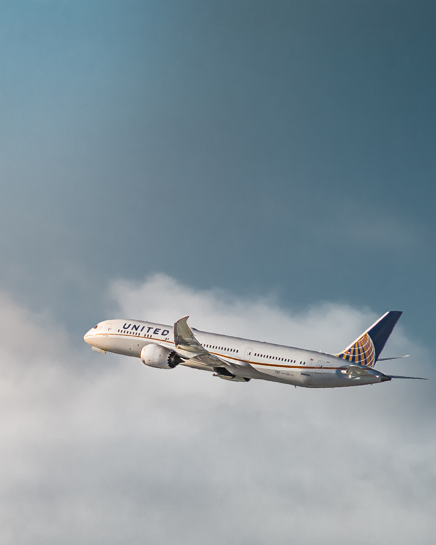 Full size: United Airlines Boeing 787-9 N38955 at San Francisco International Airport