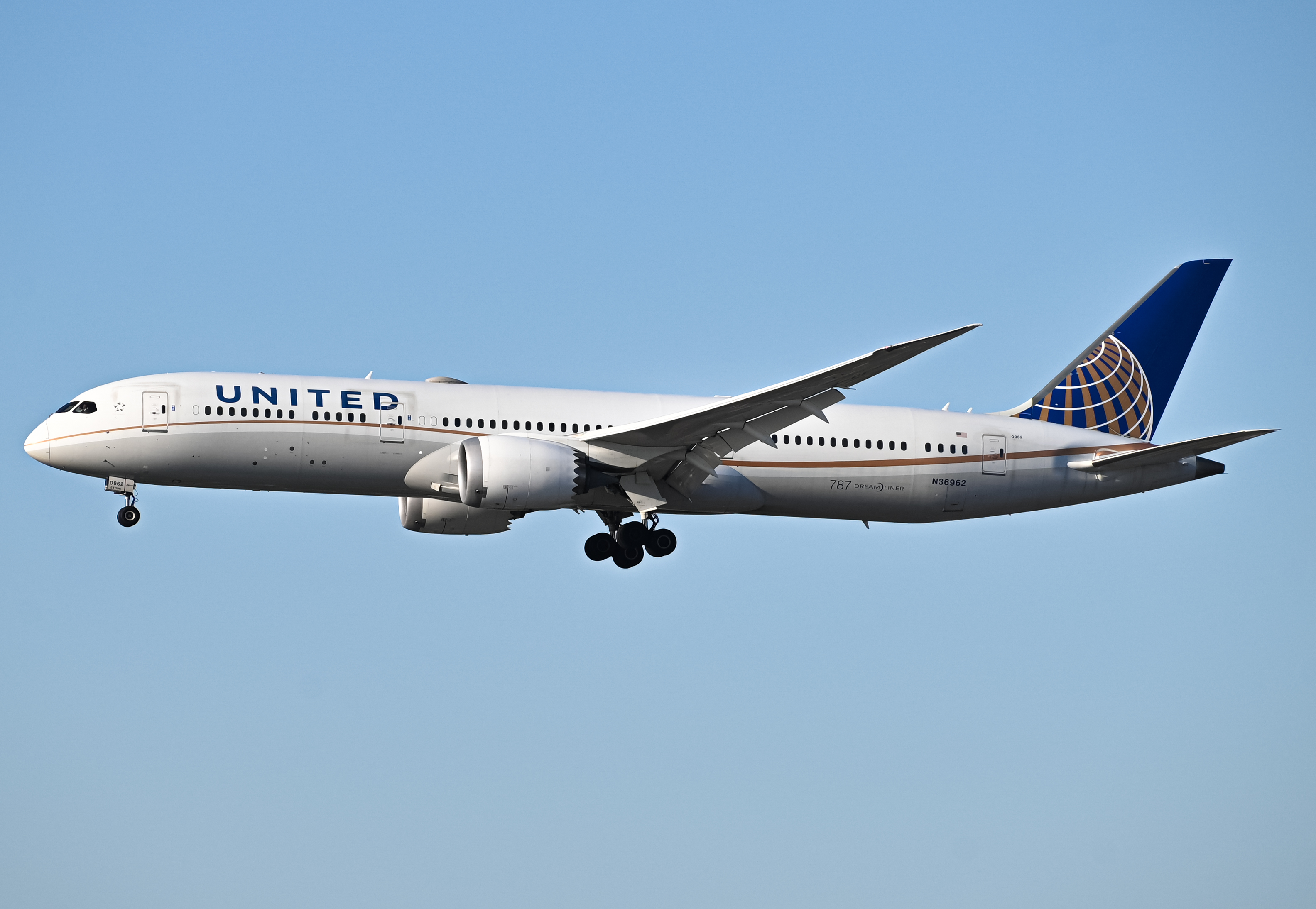 Full size: United Airlines Boeing 787-9 N36962 at Los Angeles International Airport