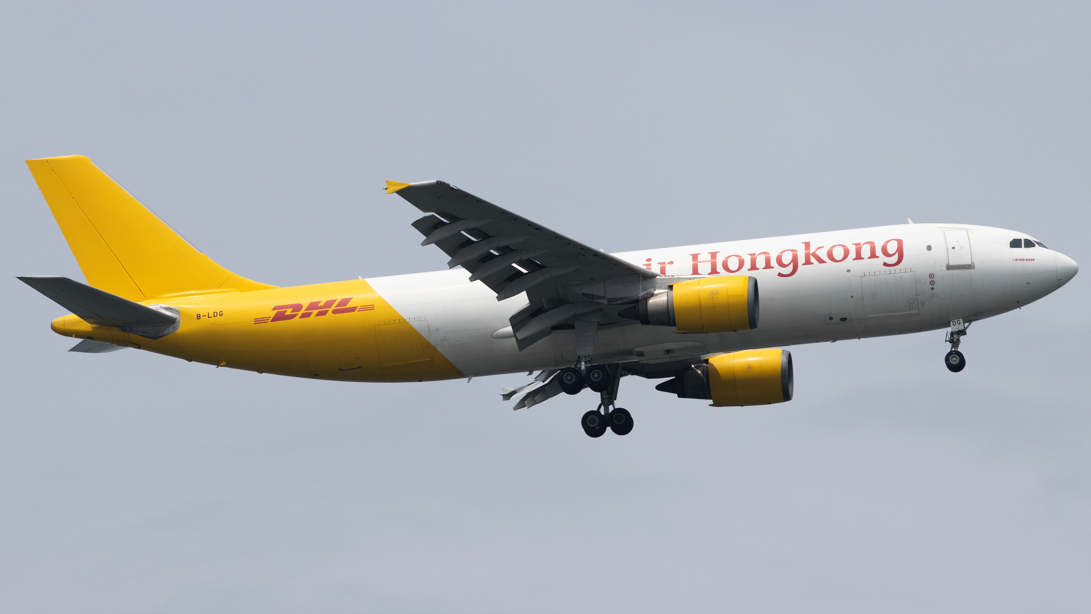 Full size: Air Hong Kong Airbus A300-600F B-LDG at Singapore-Changi Airport