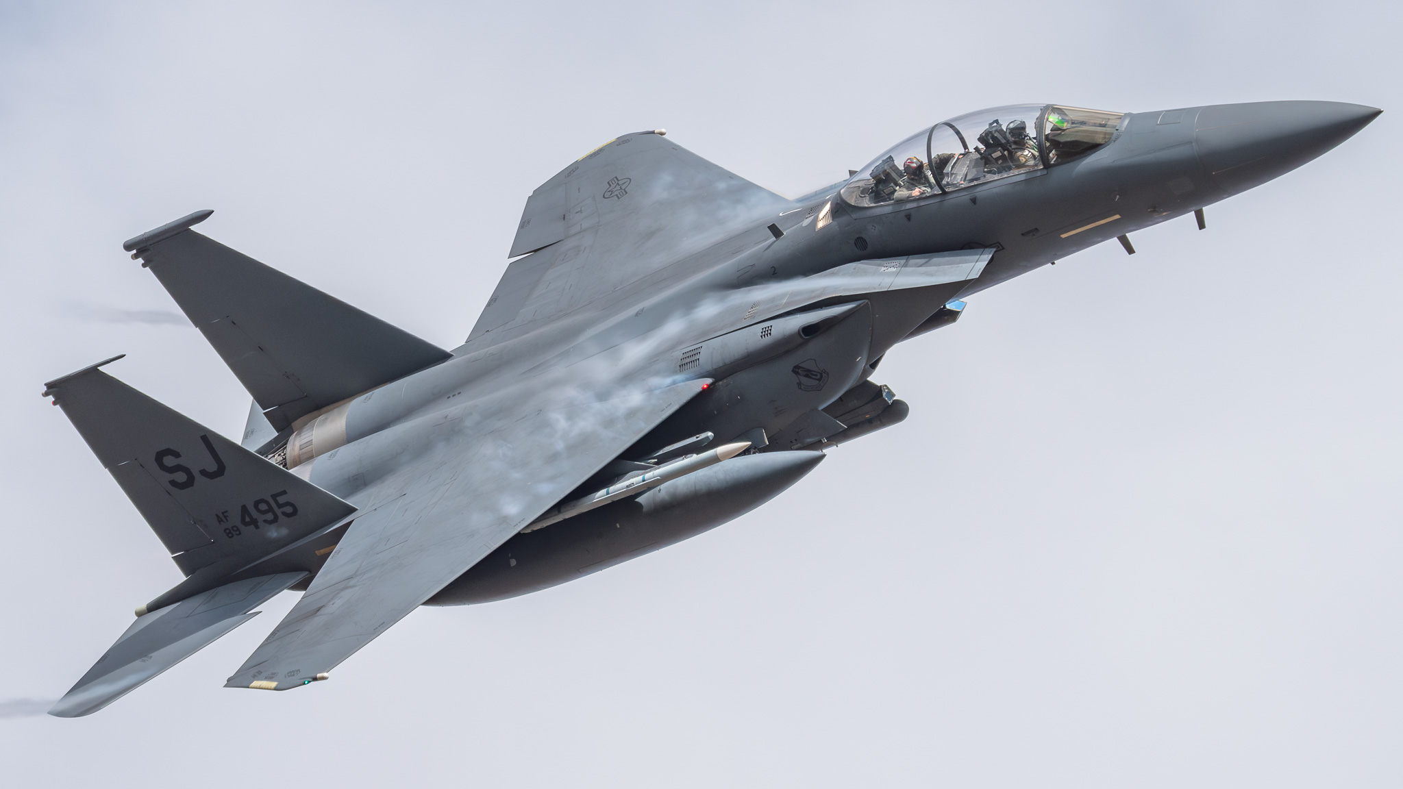 Full size: USAF - United States Air Force McDonnell Douglas F-15 Eagle 89-0495 at Seymour Johnson AFB