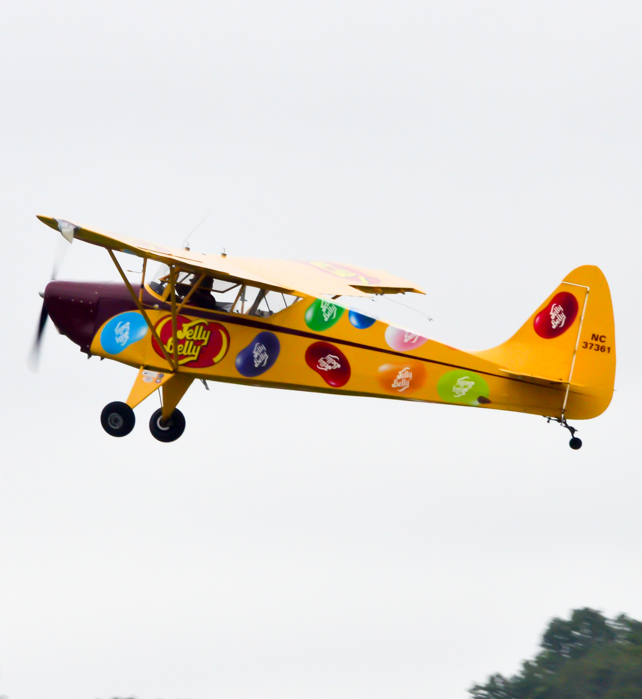Full size: PRIVATE interstate s-1A cadet  NC37361 at Montgomery Orange County Airport