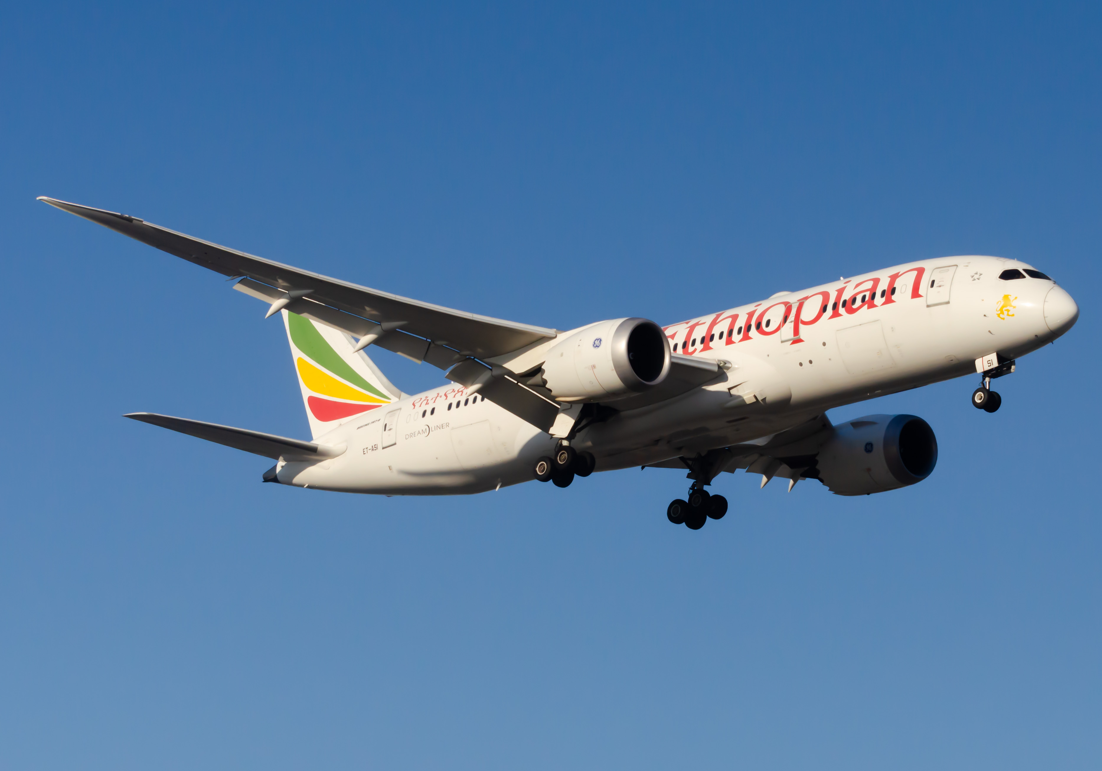 Full size: Ethiopian Airlines Boeing 787-8 ET-ASI at Newark Liberty International Airport
