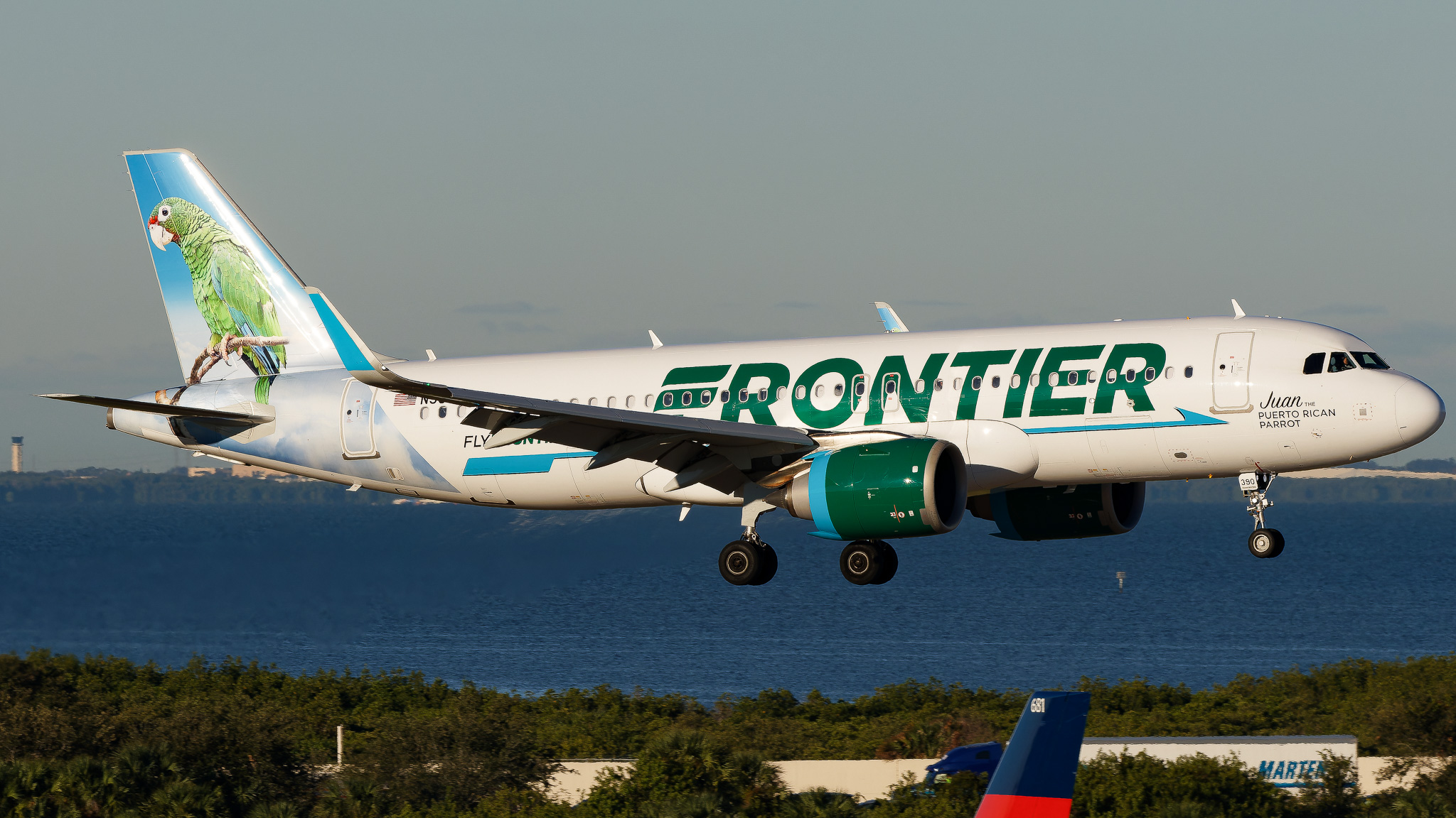Full size: Frontier Airlines Airbus A320NEO N390FR at Tampa International Airport