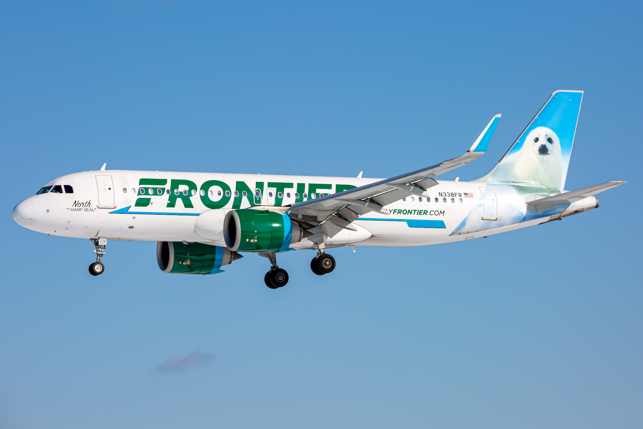 Full size: Frontier Airlines Airbus A320NEO N338FR at Baltimore/Washington International Thurgood Marshall Airport
