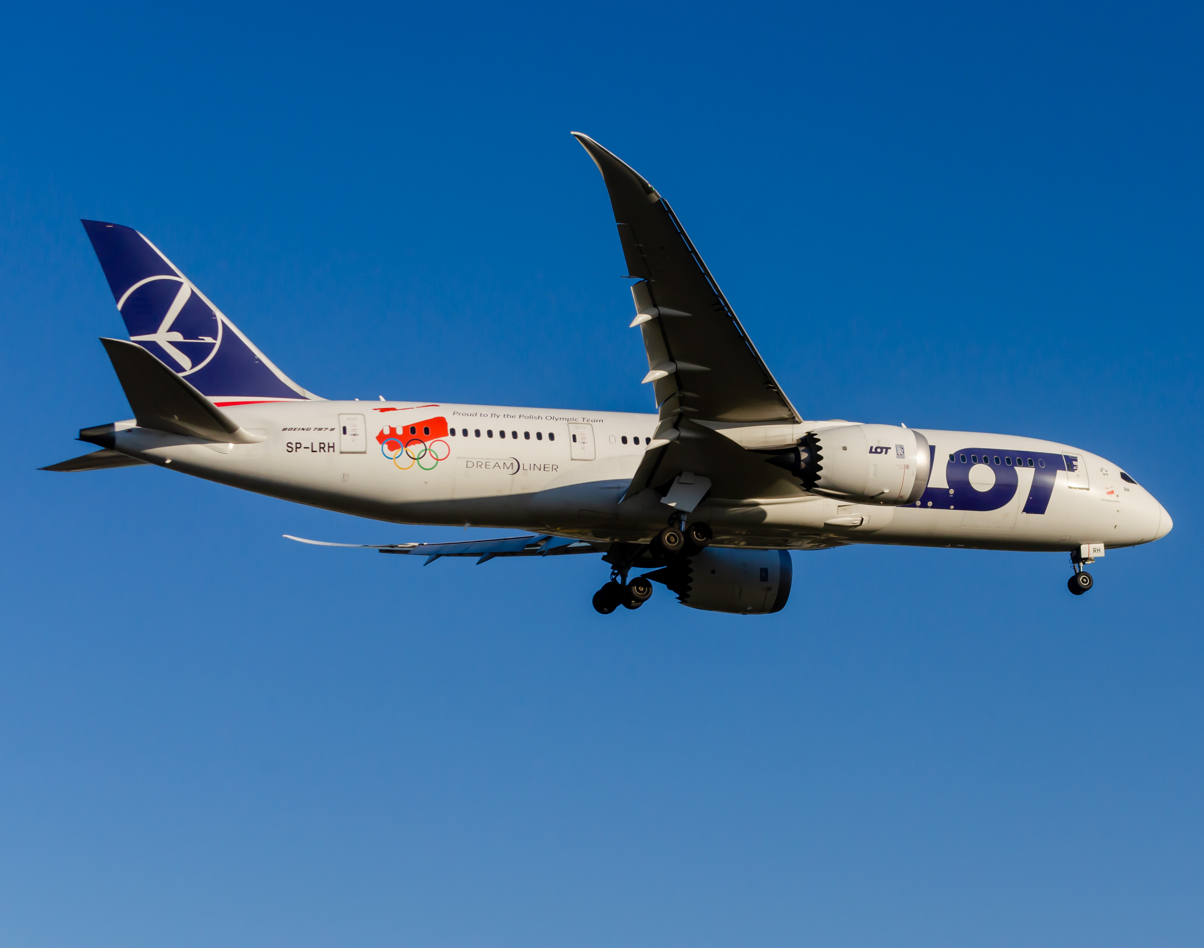 Full size: LOT Polish Airlines Boeing 787-8 SP-LRH  at Newark Liberty International Airport