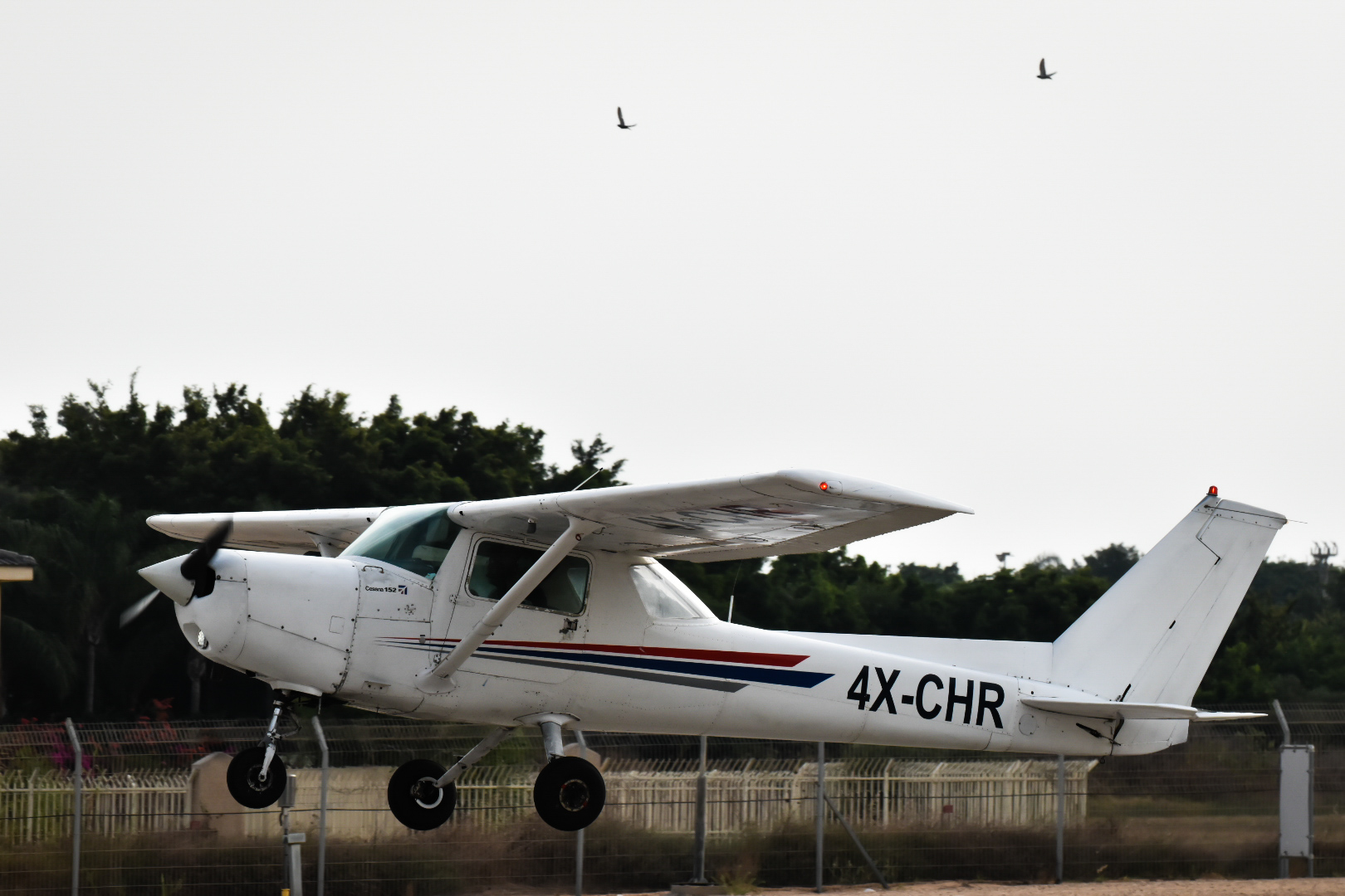 Full size: PRIVATE Cessna 172 4X-CHR at Herzliya Airport