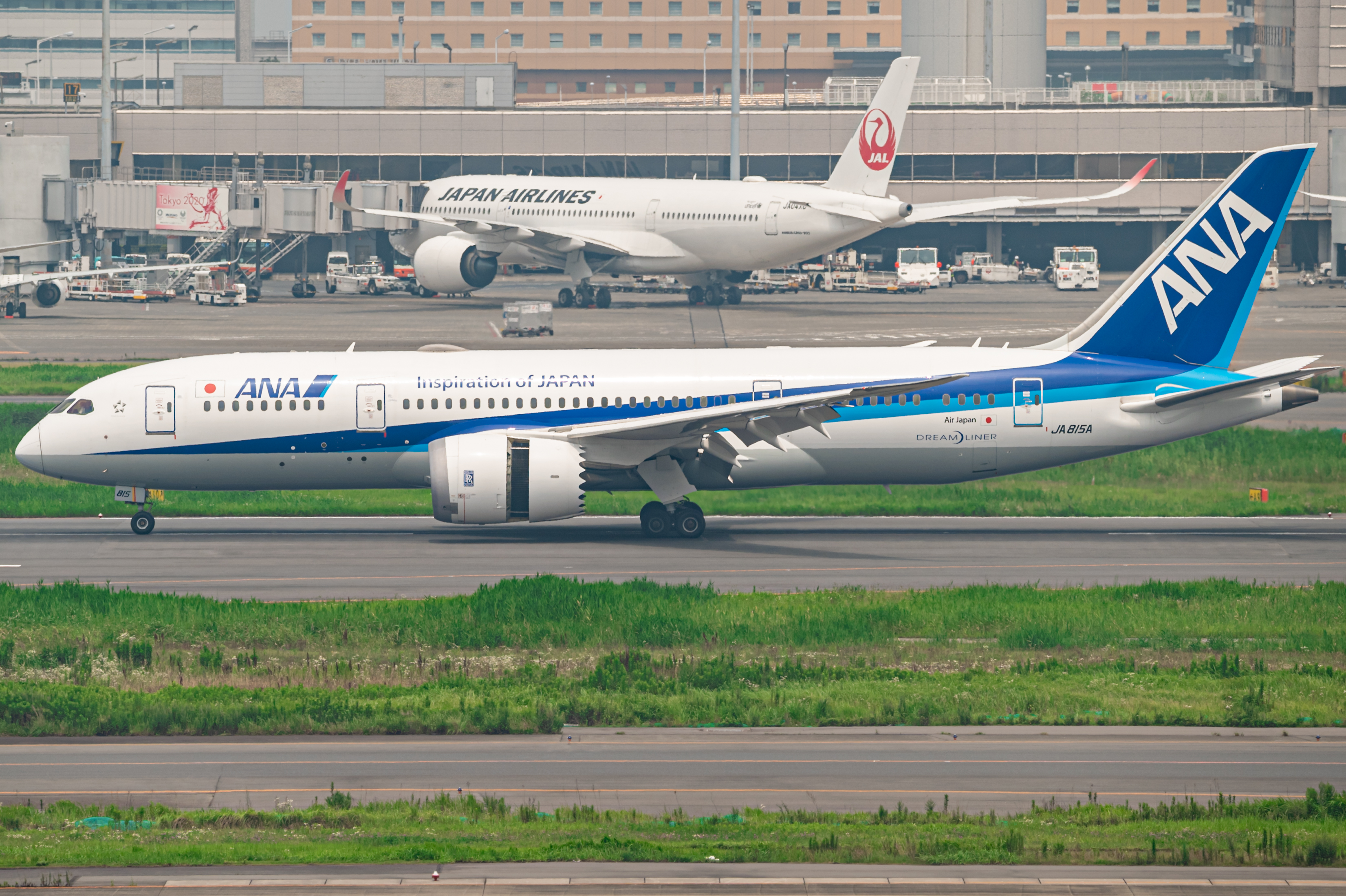 Full size: All Nippon Airways Boeing 787-8 JA815A at Tokyo-Haneda Airport