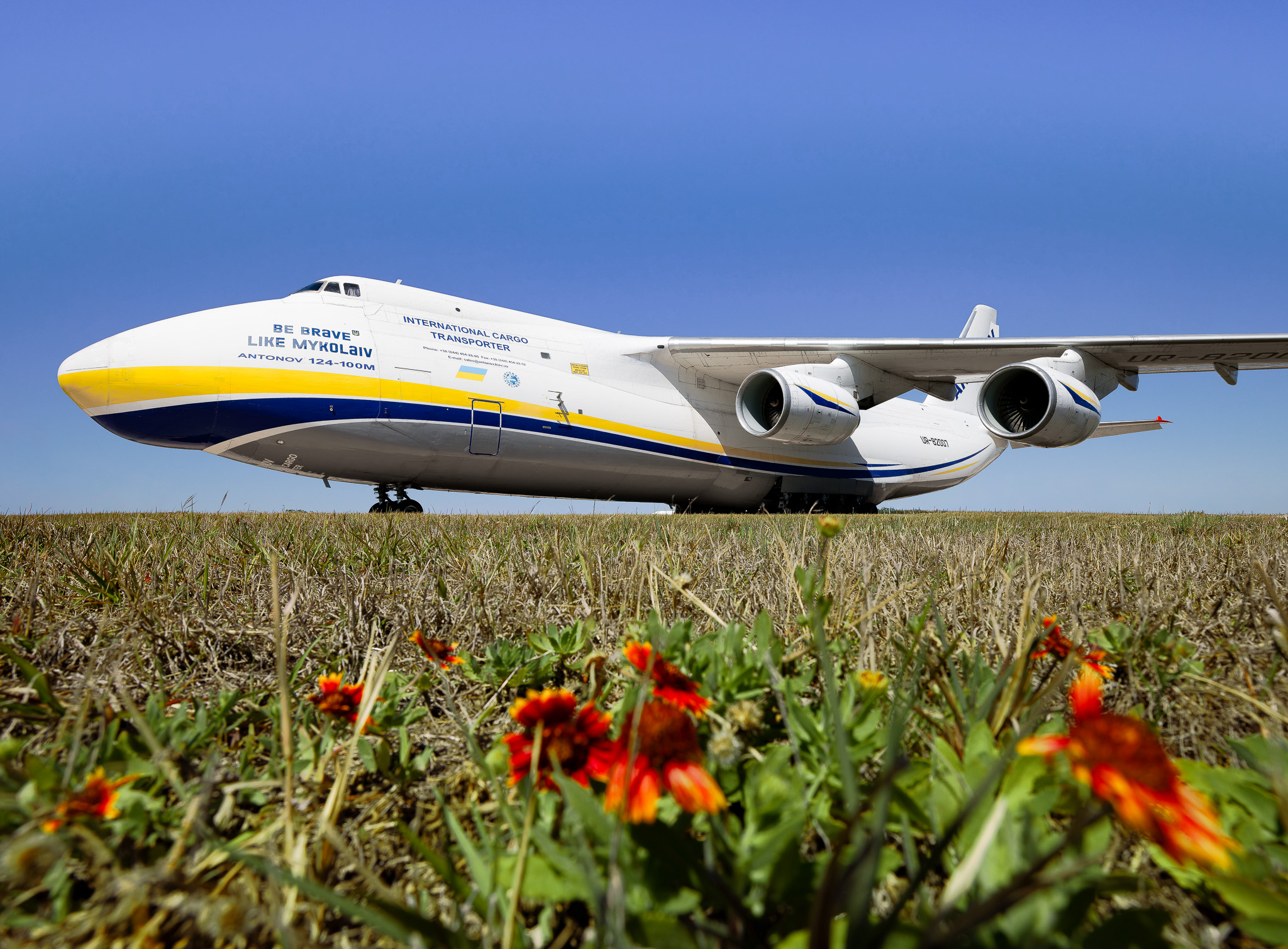 Full size: Antonov Airlines Antonov An-124 UR-82007 at Tampa International Airport