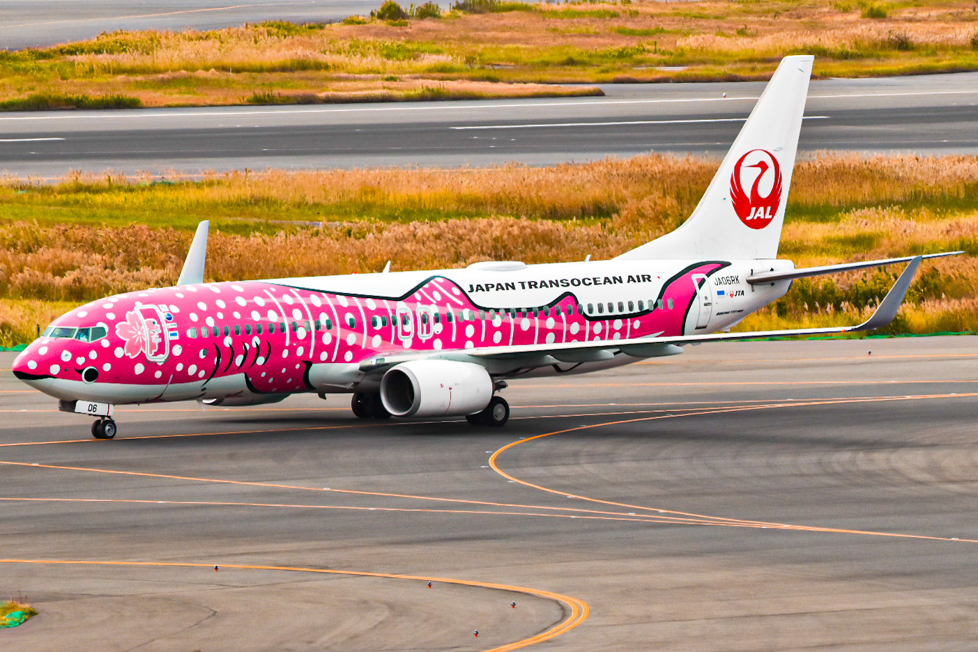 Full size: Japan Airlines Boeing 737-800 JA06RK at Tokyo-Haneda Airport