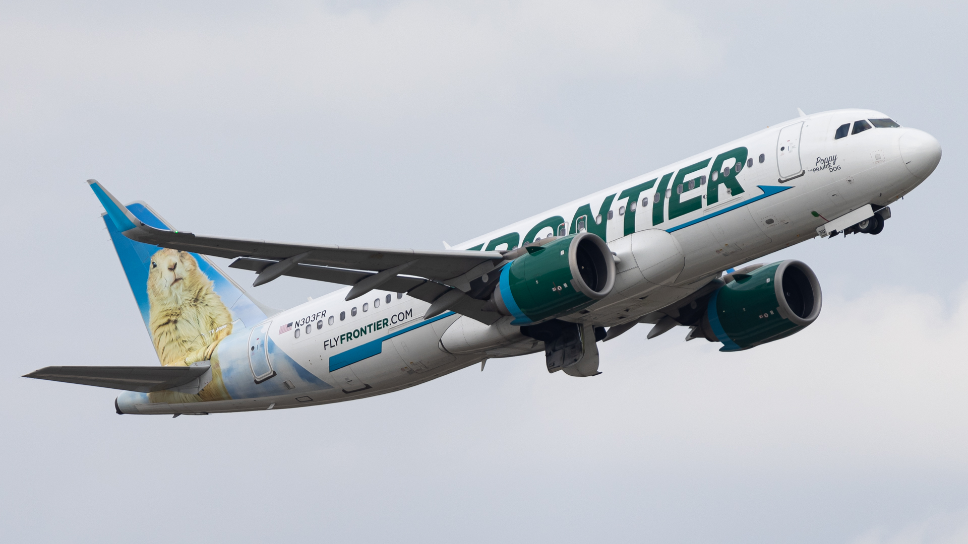 Full size: Frontier Airlines Airbus A320NEO N303FR at Tampa International Airport
