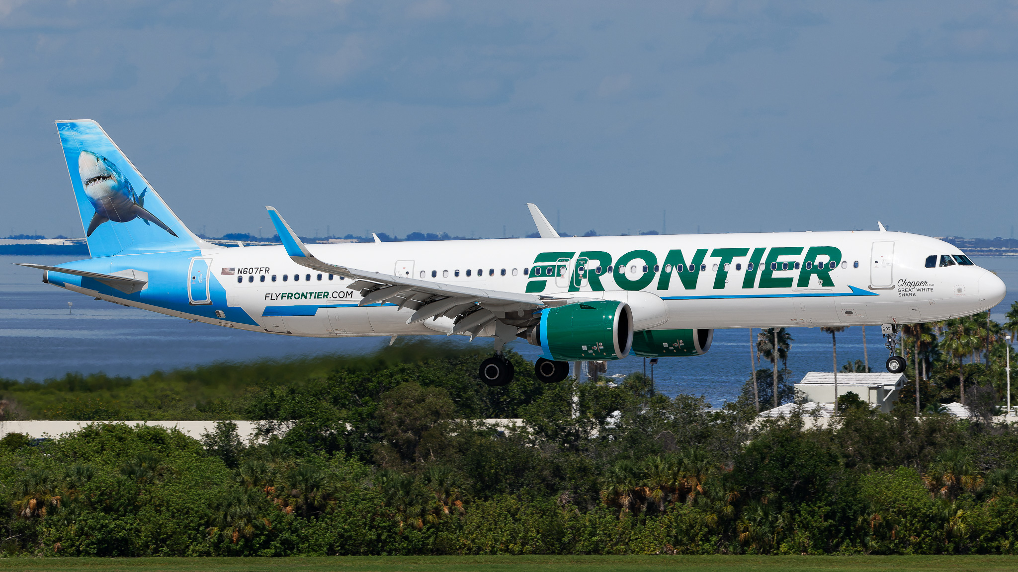 Full size: Frontier Airlines Airbus A321NEO N607FR at Tampa International Airport