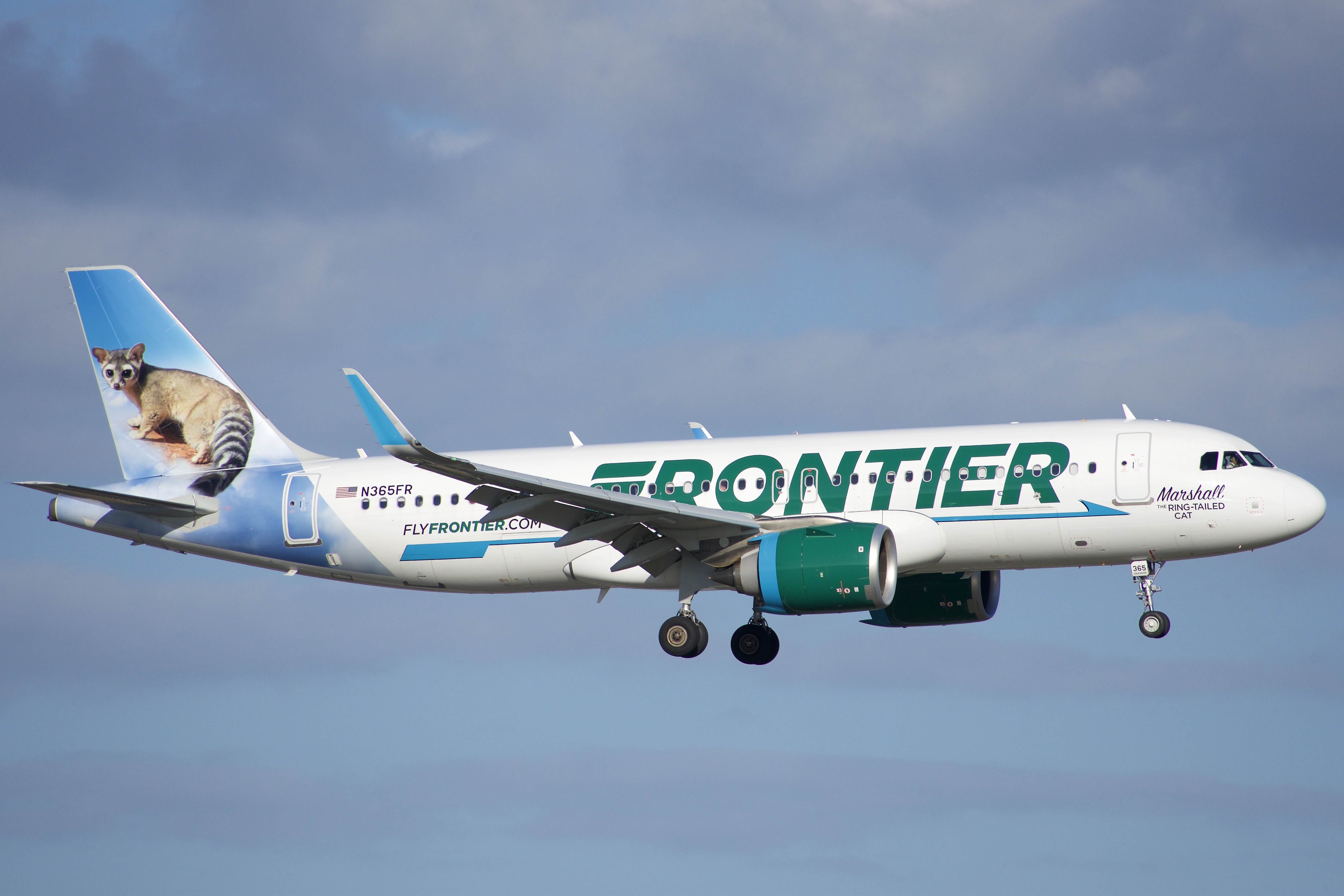 Full size: Frontier Airlines Airbus A320NEO N365FR at Orlando International Airport
