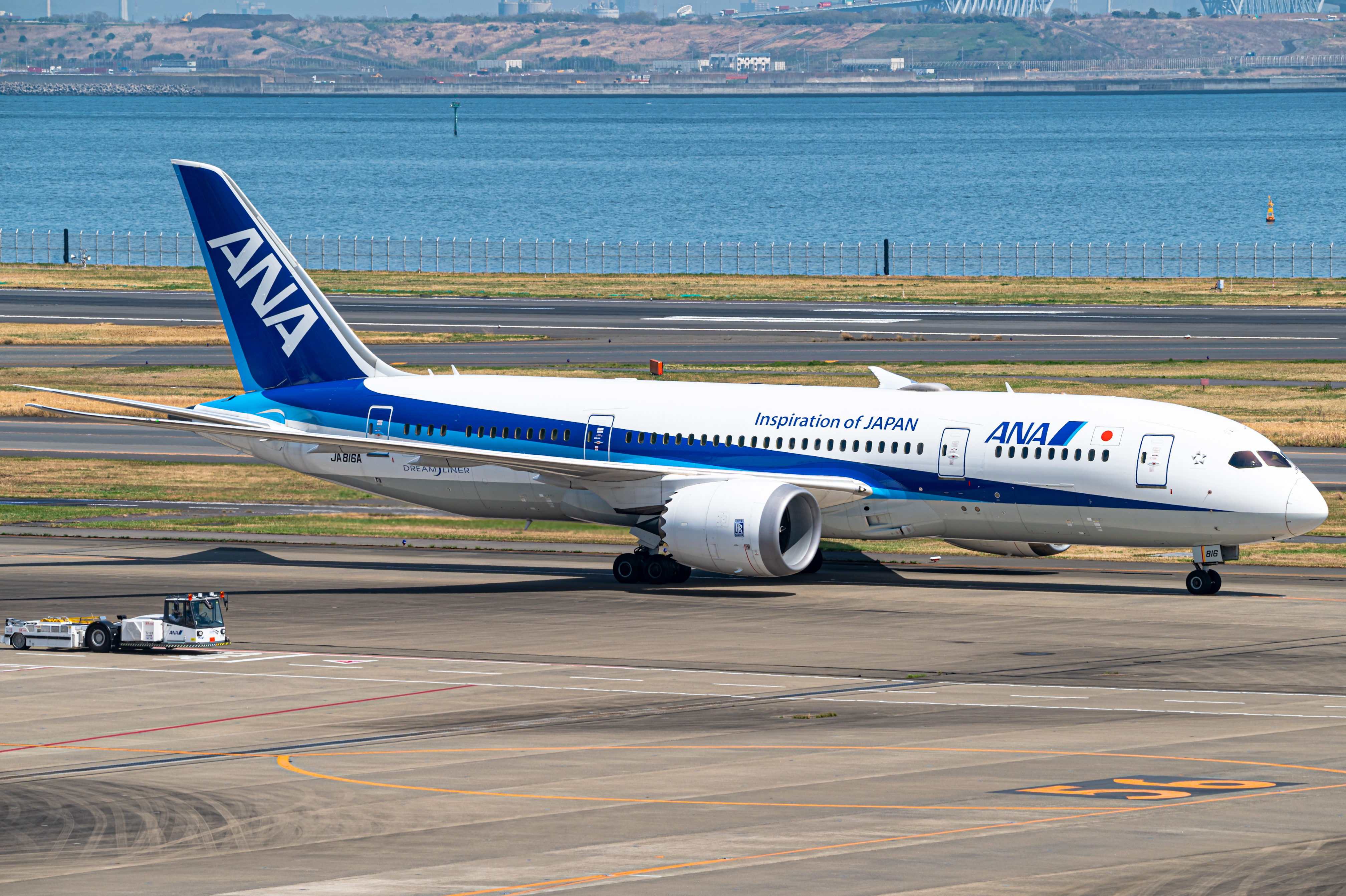 Full size: All Nippon Airways Boeing 787-8 JA816A at Tokyo-Haneda Airport