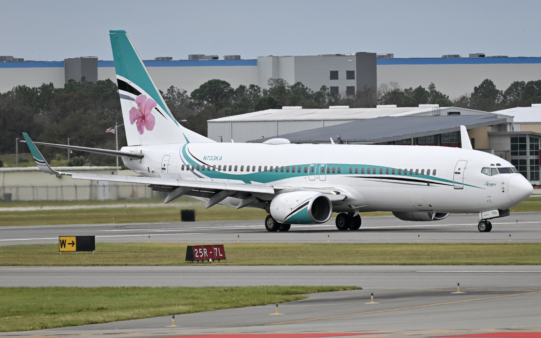 カメリア N733KA) KaiserAir Boeing 737-800 by Luis Emilio Kieffer