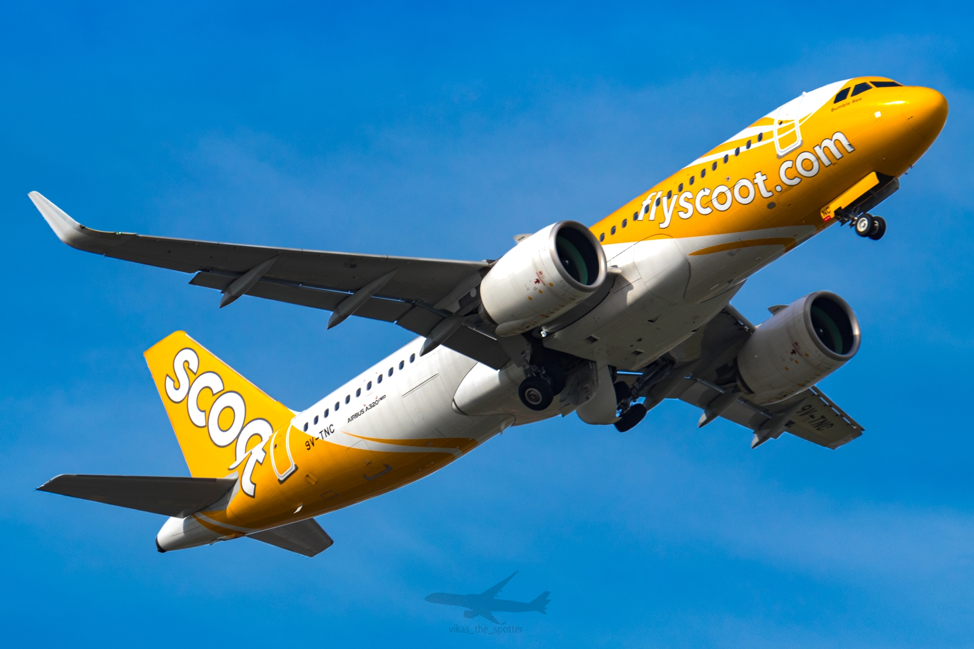 Full size: Scoot Airbus A320NEO 9V-TNC at Singapore-Changi Airport