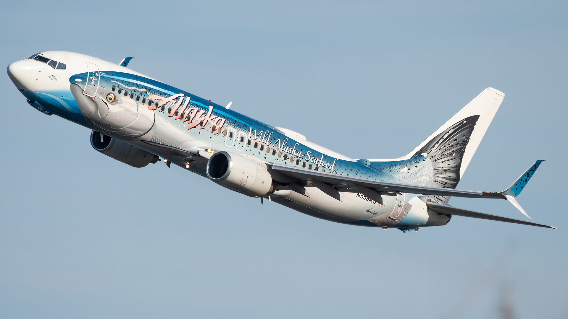 Full size: Alaska Airlines Boeing 737-800 N559AS at Ronald Reagan National Airport