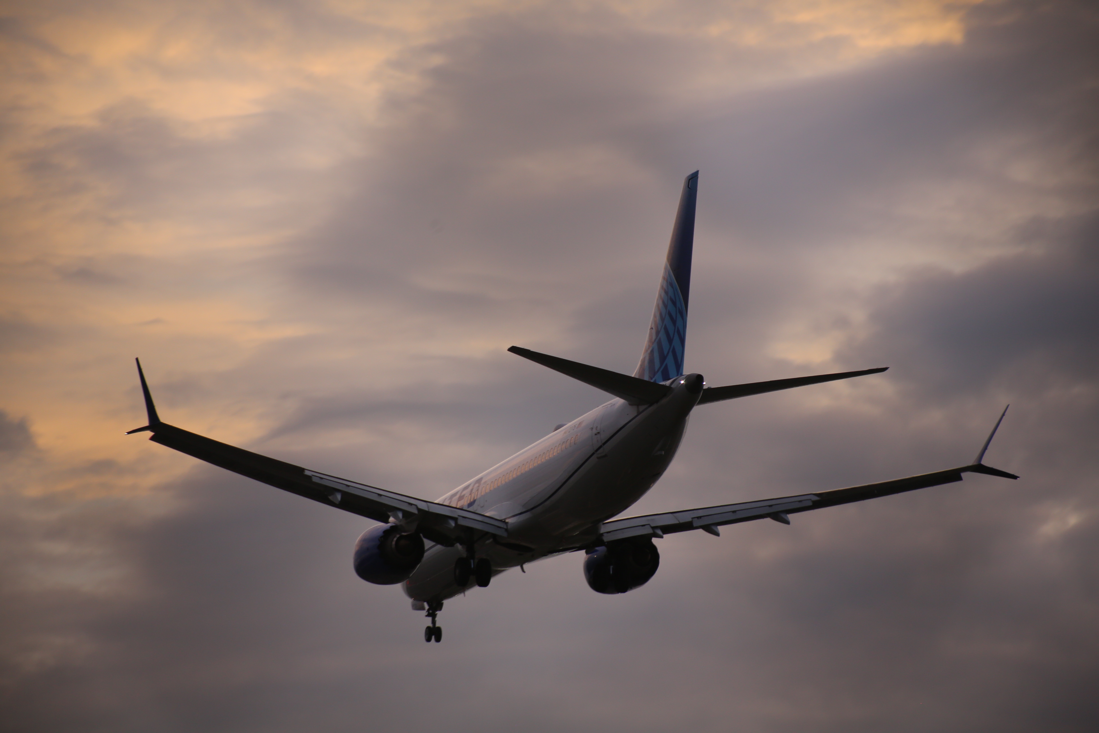 Full size: United Airlines Boeing 737 MAX 8 N47275 at Newark Liberty International Airport