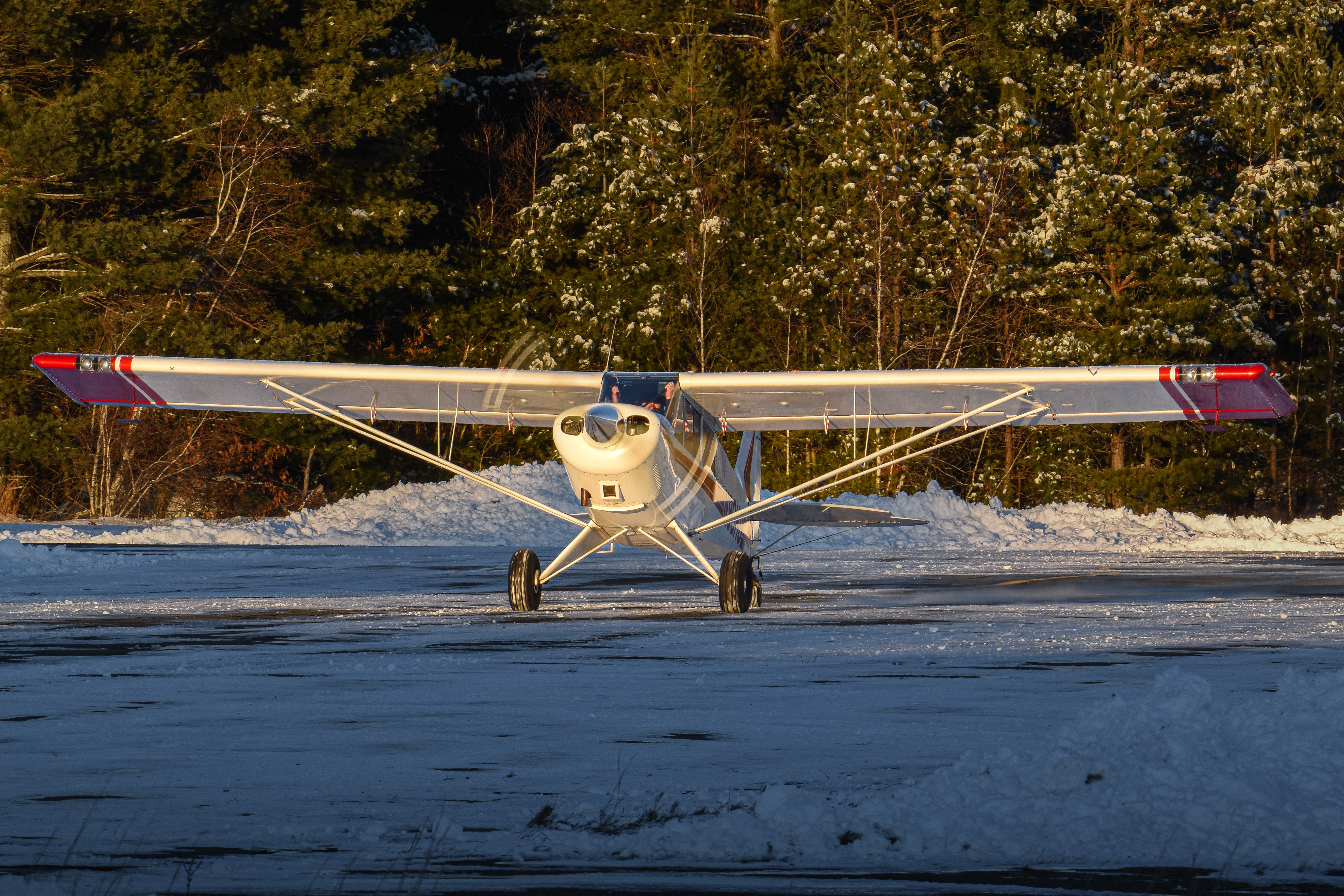Full size: PRIVATE Aviat aircraft husky  N90HU at 