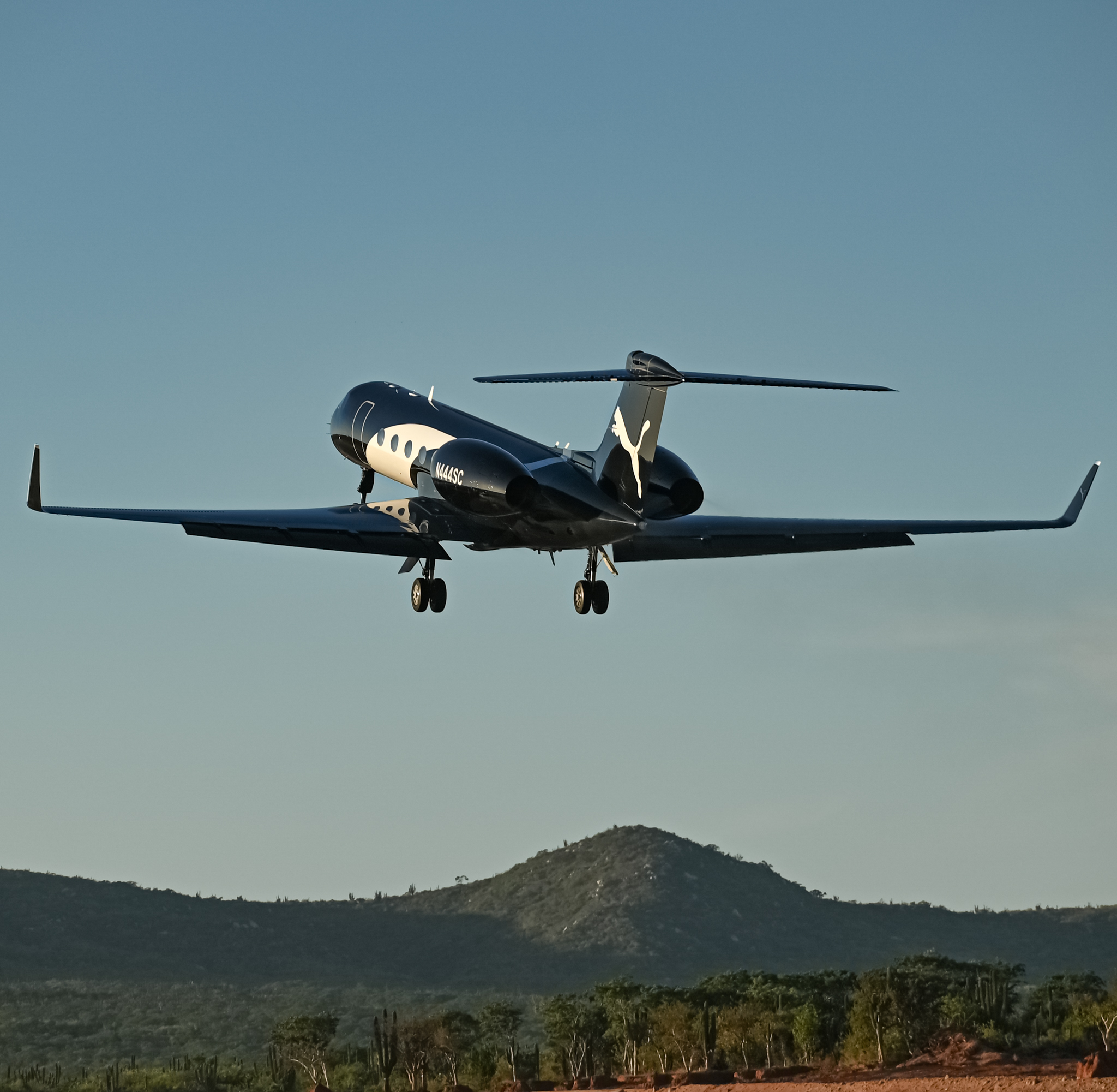 Full size: PRIVATE Gulfstream V N444SC at Aeropuerto de Cabo San Lucas Internacional