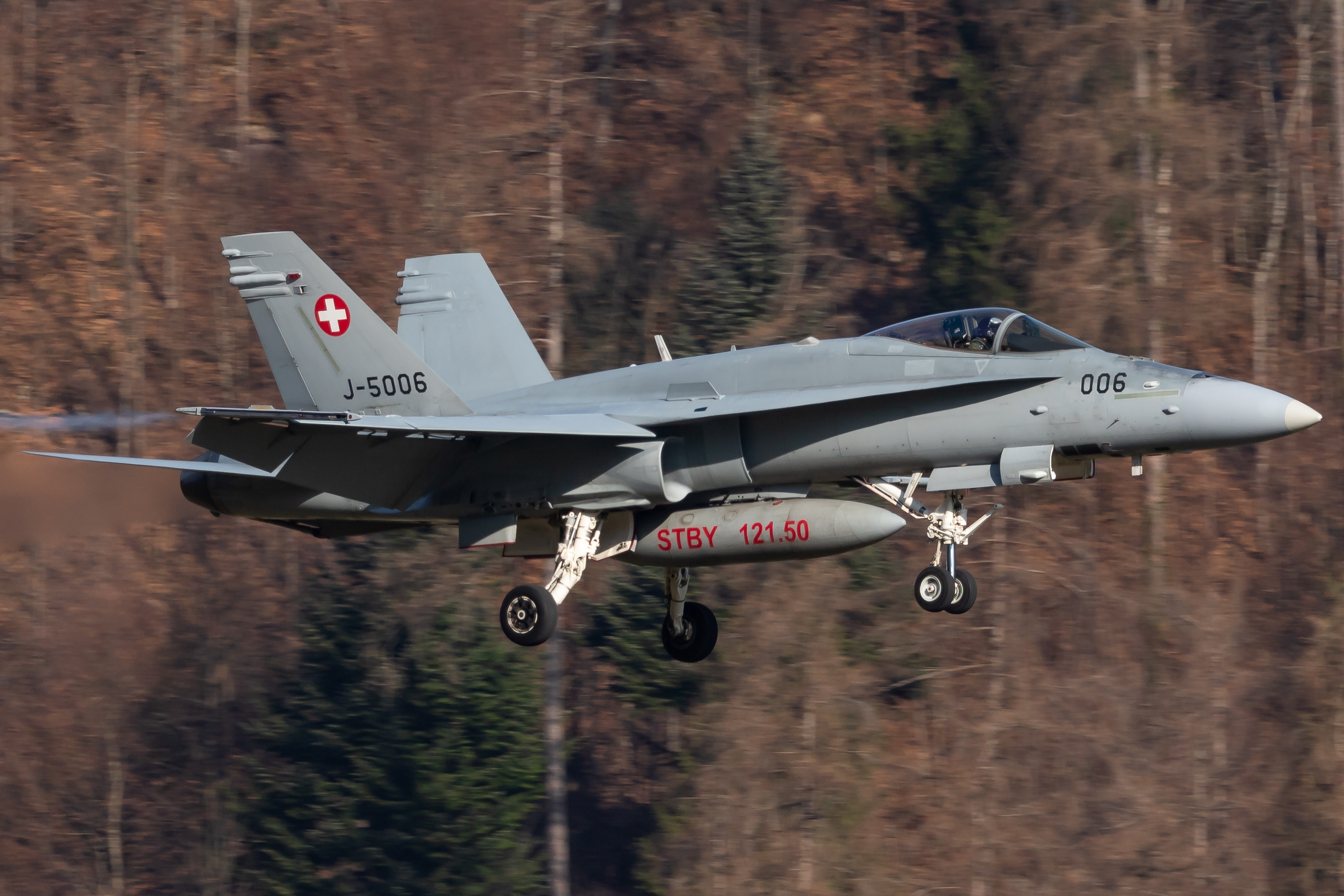 Full size: Swiss Air Force McDonnel Douglas F/A-18 Hornet J-5006 at 