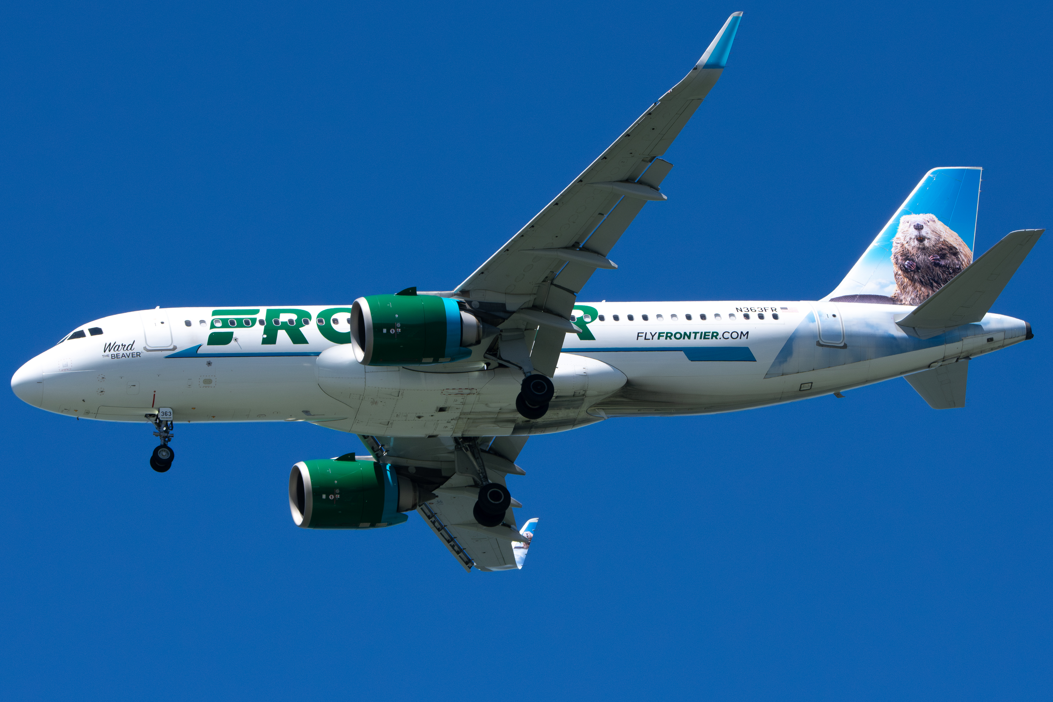 Full size: Frontier Airlines Airbus A320NEO N363FR at San Francisco International Airport