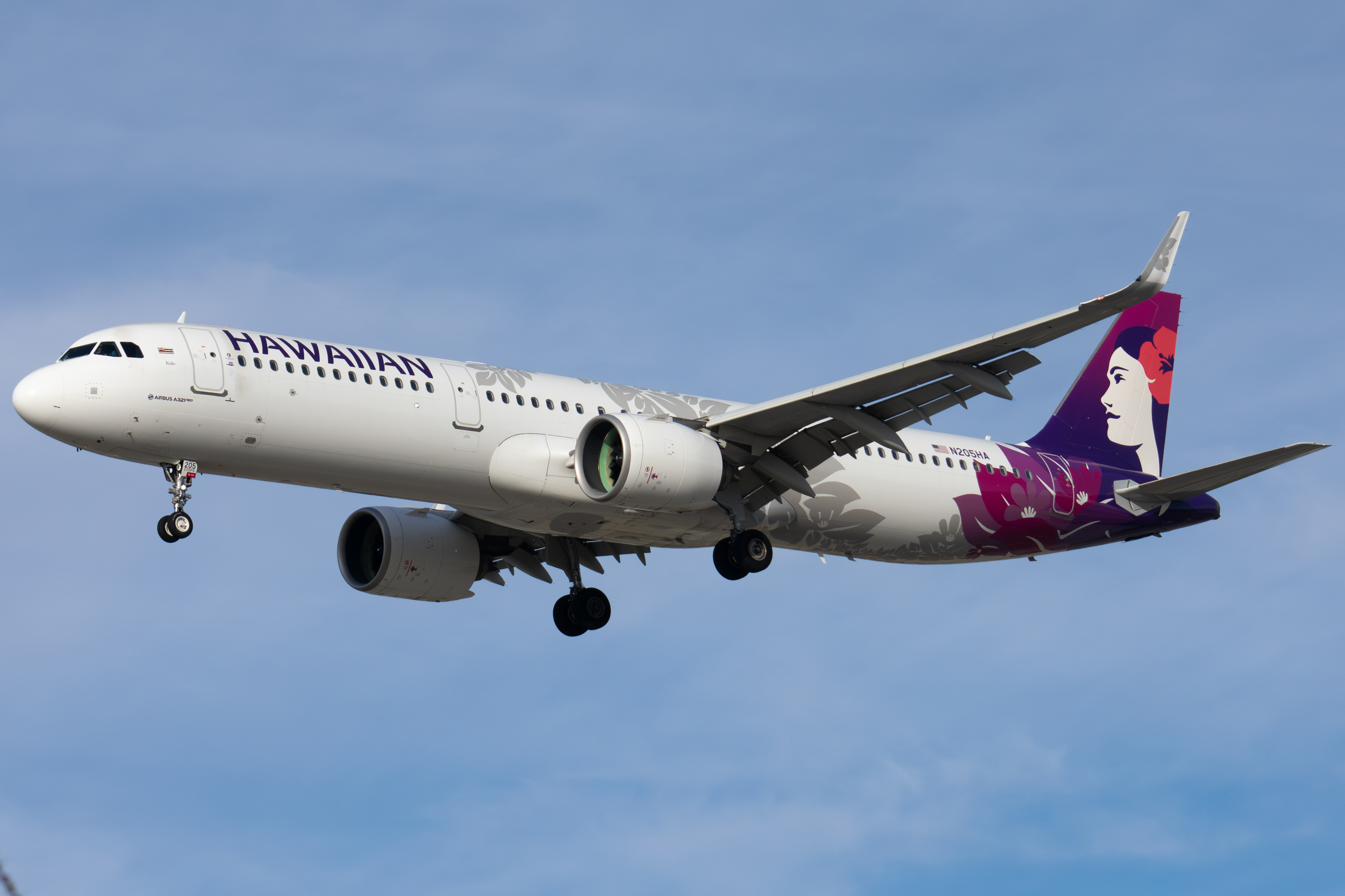Full size: Hawaiian Airlines Airbus A321NEO N205HA at Norman Y Mineta San Jose International Airport