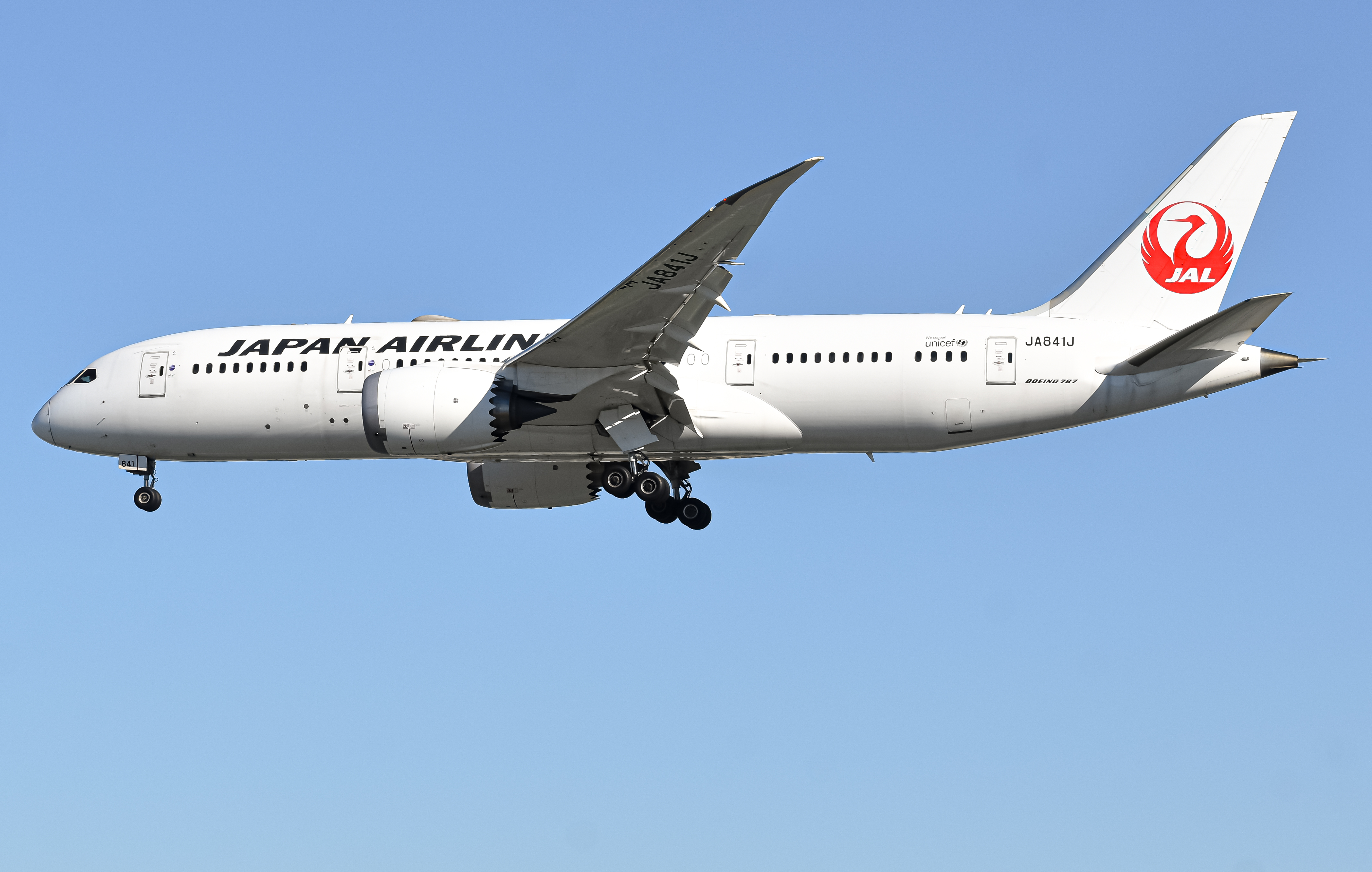 Full size: Japan Airlines Boeing 787-8 JA841J at San Diego International Airport