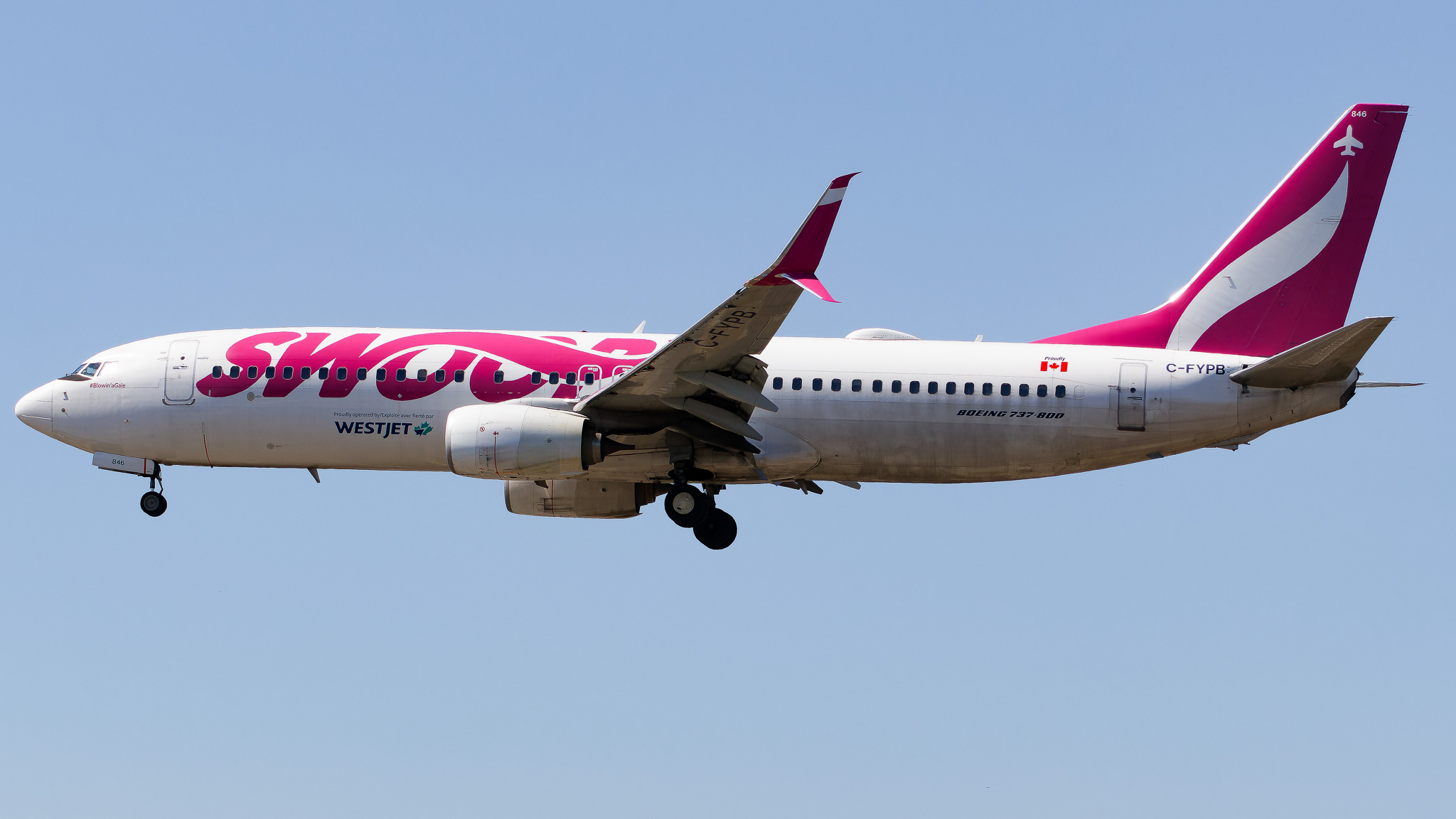 Full size: Swoop Boeing 737-800 C-FYPB at Tampa International Airport