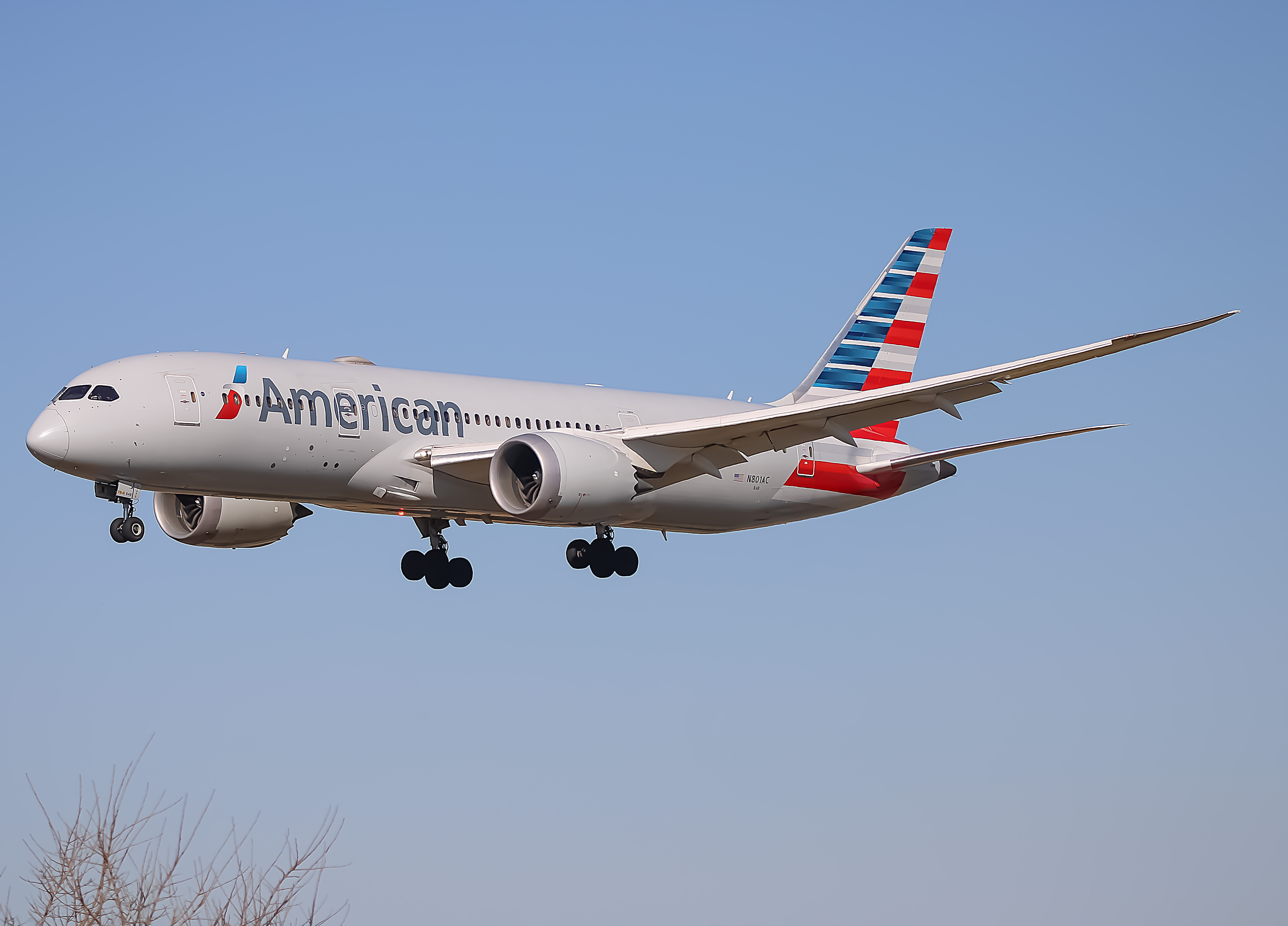 Full size: American Airlines Boeing 787-8 N801AC at Philadelphia International Airport