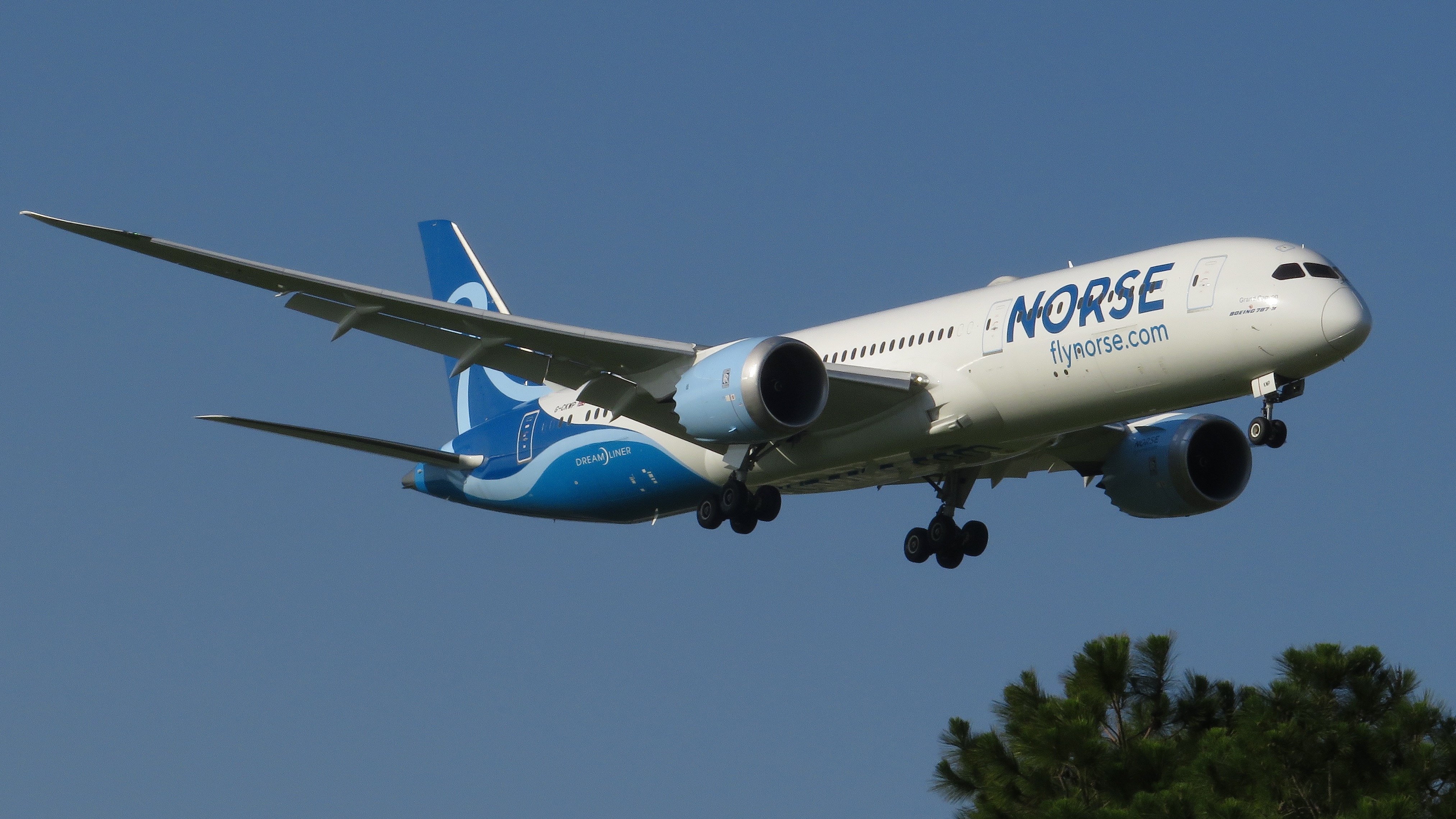 Full size: Norse Airways Boeing 787-9 G-CKWP at Orlando International Airport