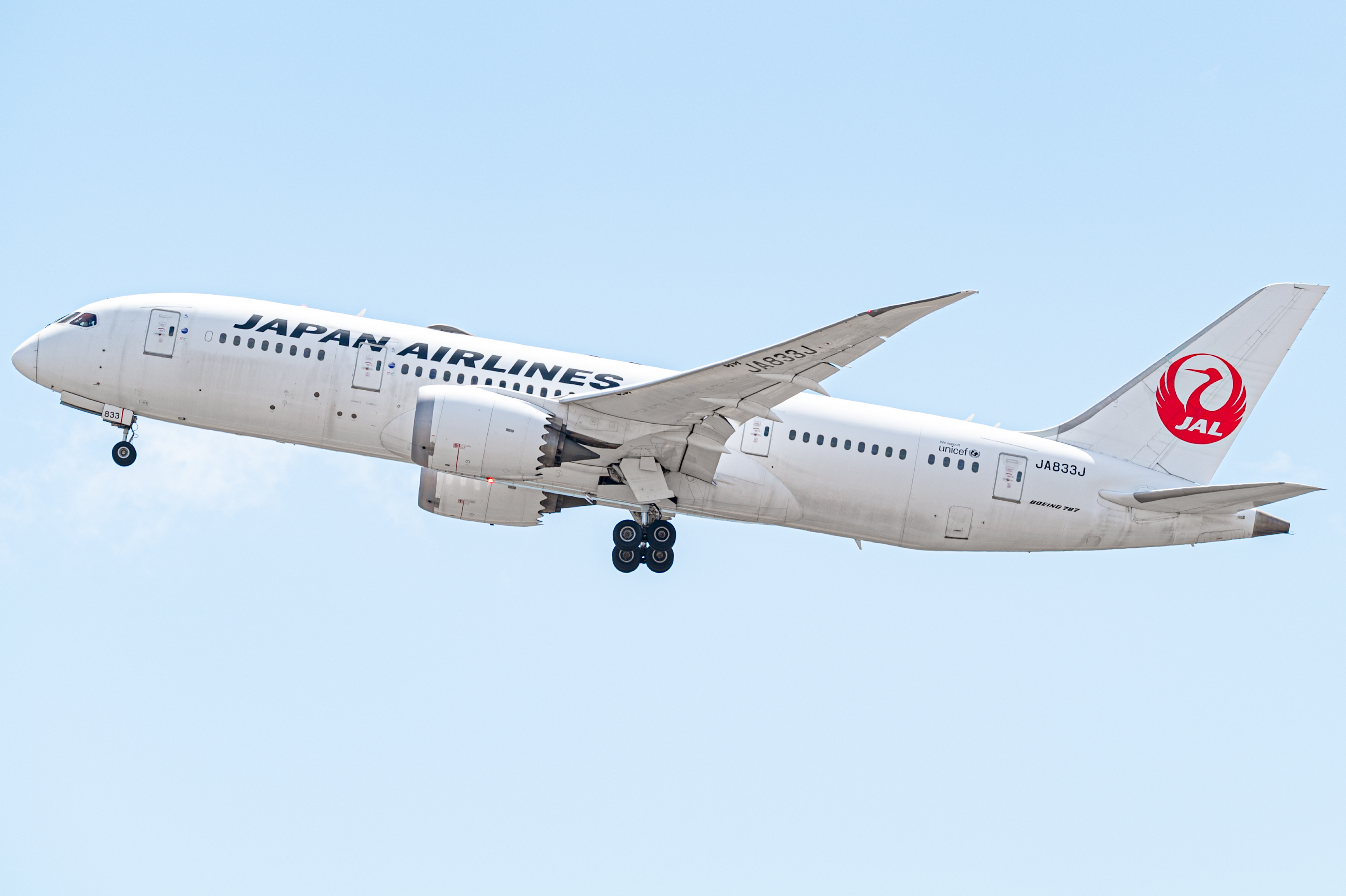 Full size: Japan Airlines Boeing 787-8 JA833J at Daniel K Inouye International Airport