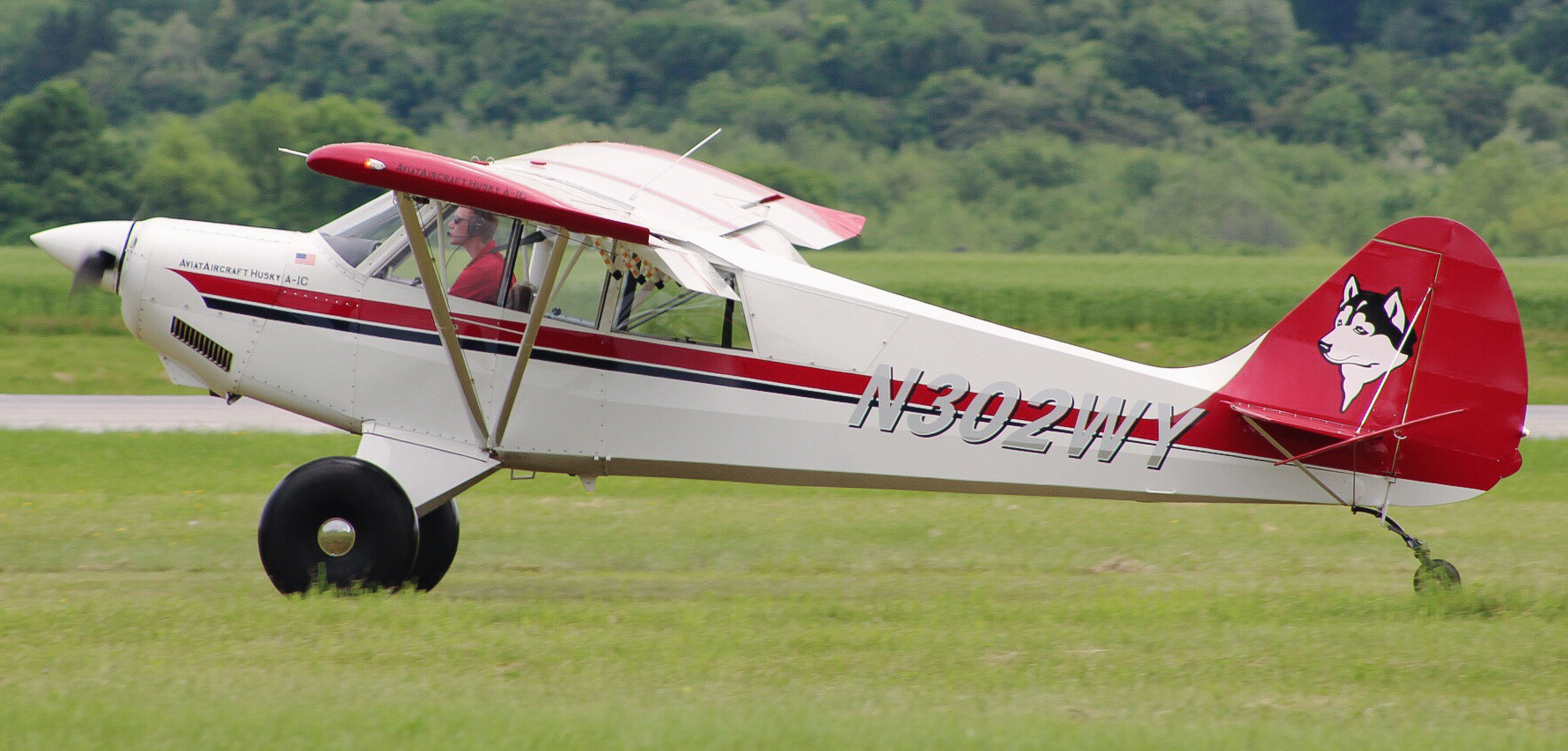 Full size: PRIVATE Aviat Husky N302WY at Frederick Municipal Airport