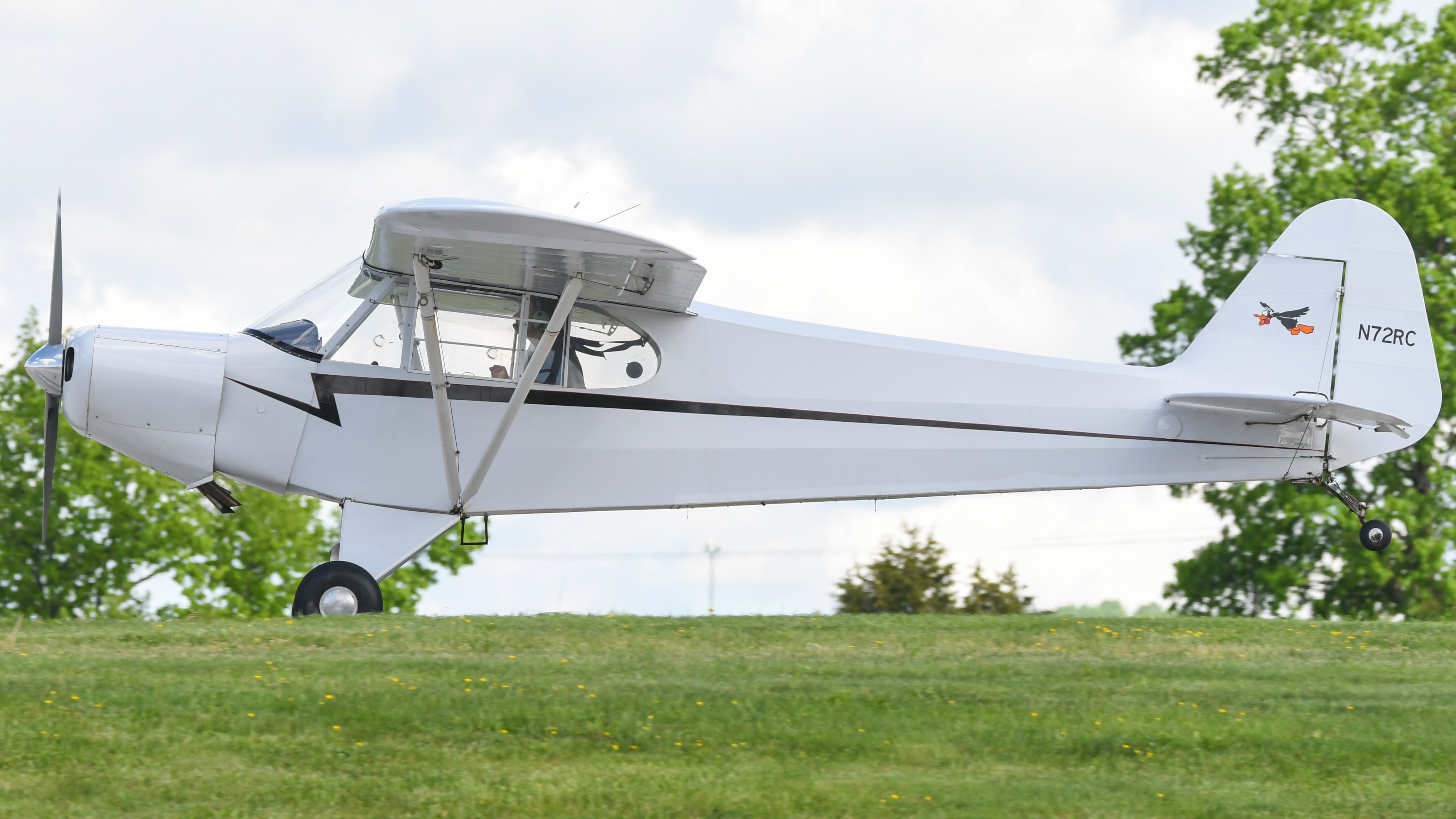 Full size: PRIVATE Acro Sport Trainer N72RC at Heritage Field Airport