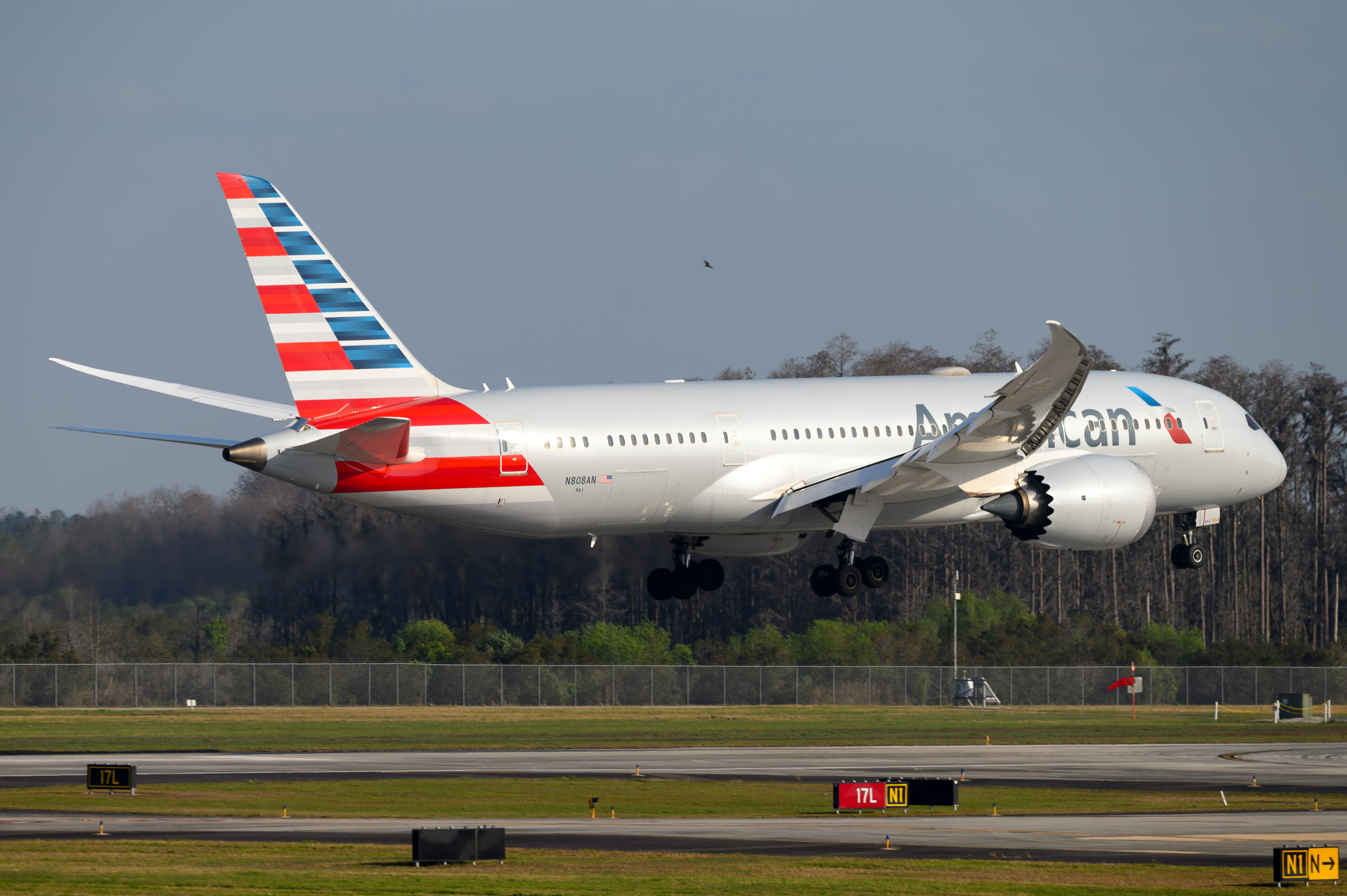 Full size: American Airlines Boeing 787-8 N808AN at Orlando International Airport