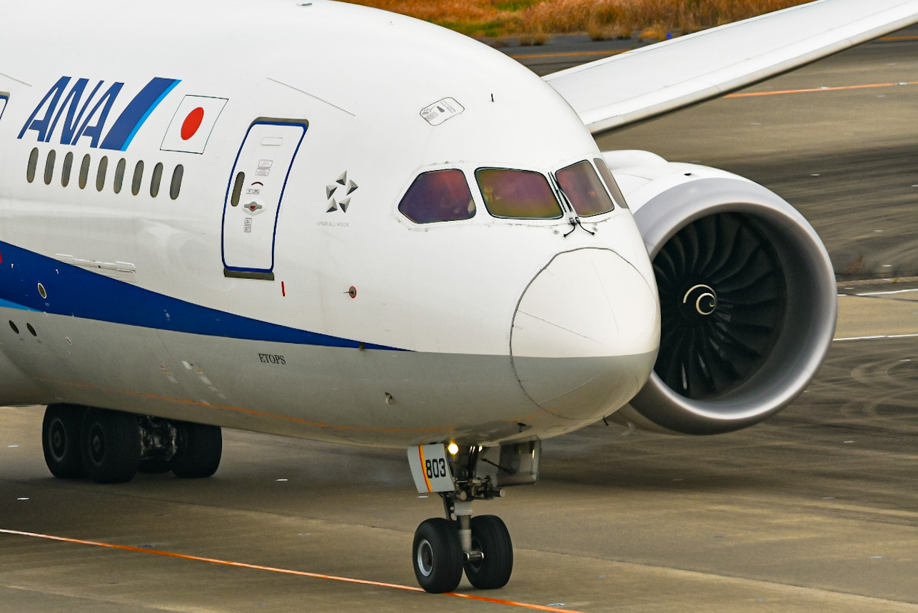 Full size: All Nippon Airways Boeing 787-8 JA803A at Tokyo-Haneda Airport