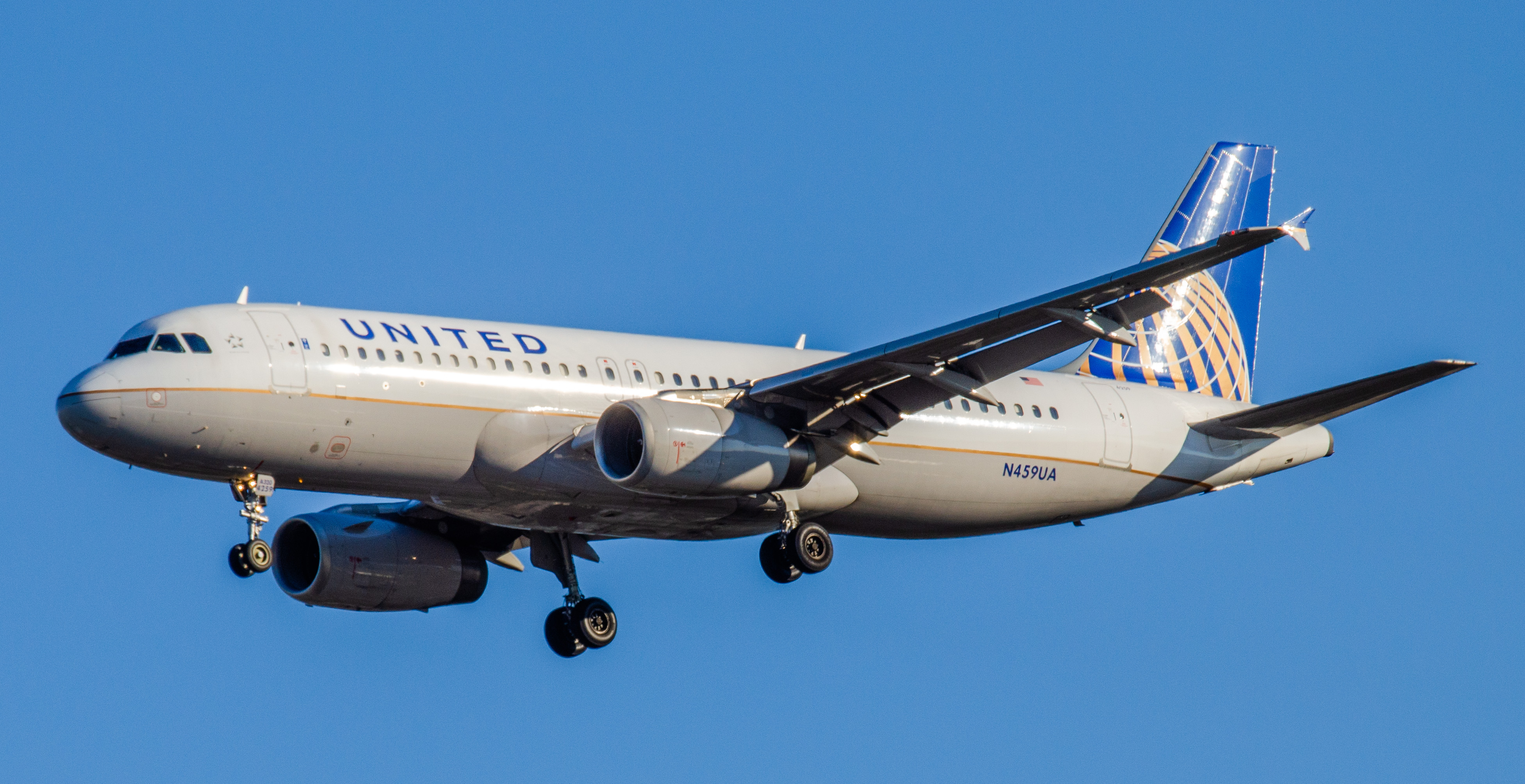 Full size: United Airlines Airbus A320 N459UA at Newark Liberty International Airport