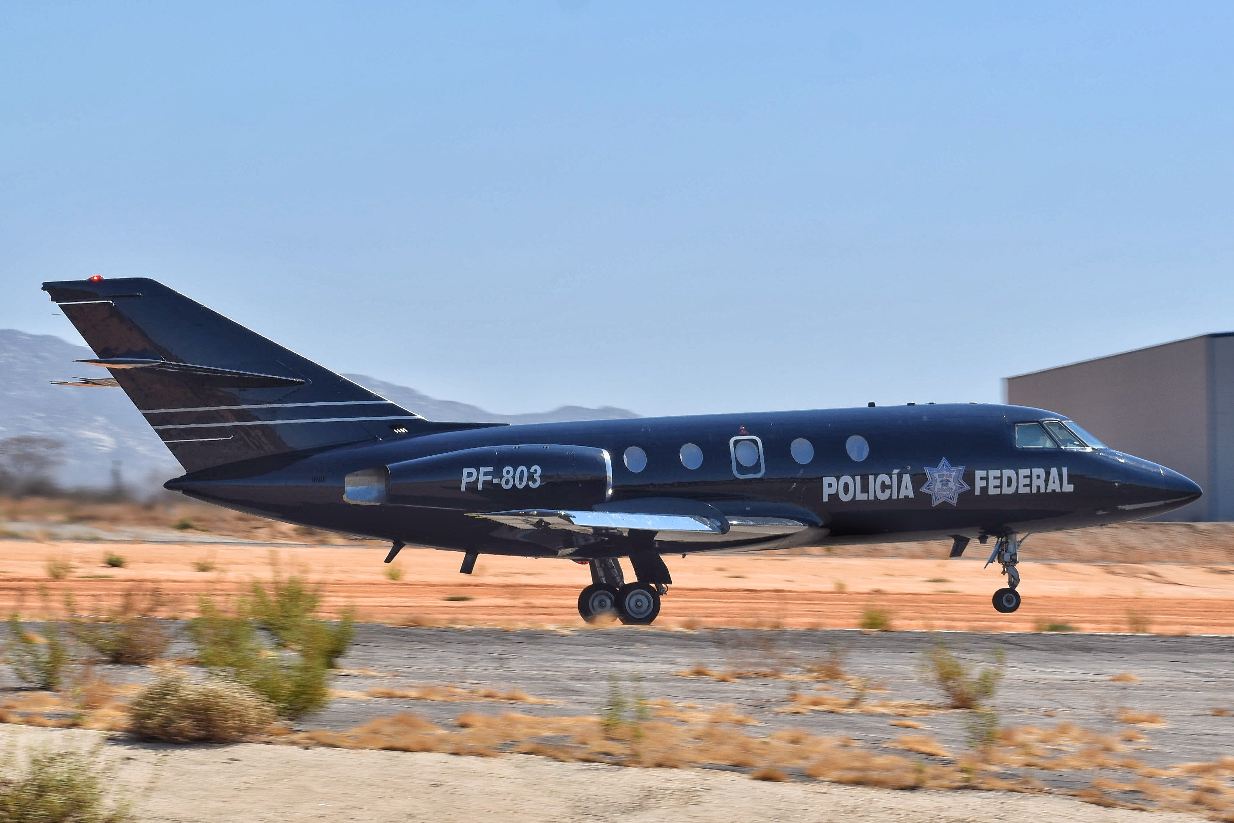 Full size: Mexican Federal Police Dassault Falcon 20E PF-803 at Aeropuerto de Cabo San Lucas Internacional
