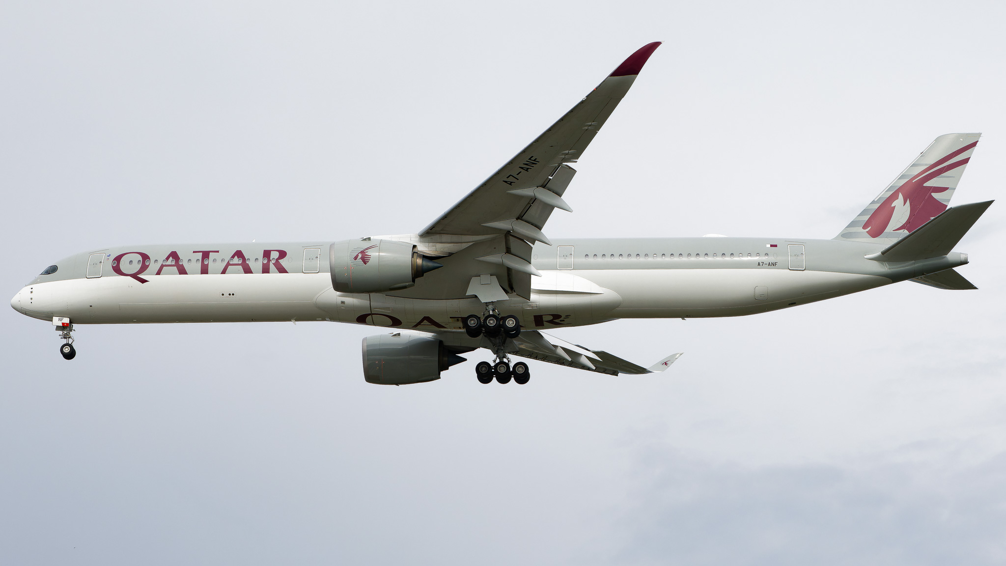 Full size: Qatar Airways Airbus A350-1000 A7-ANF at Tampa International Airport