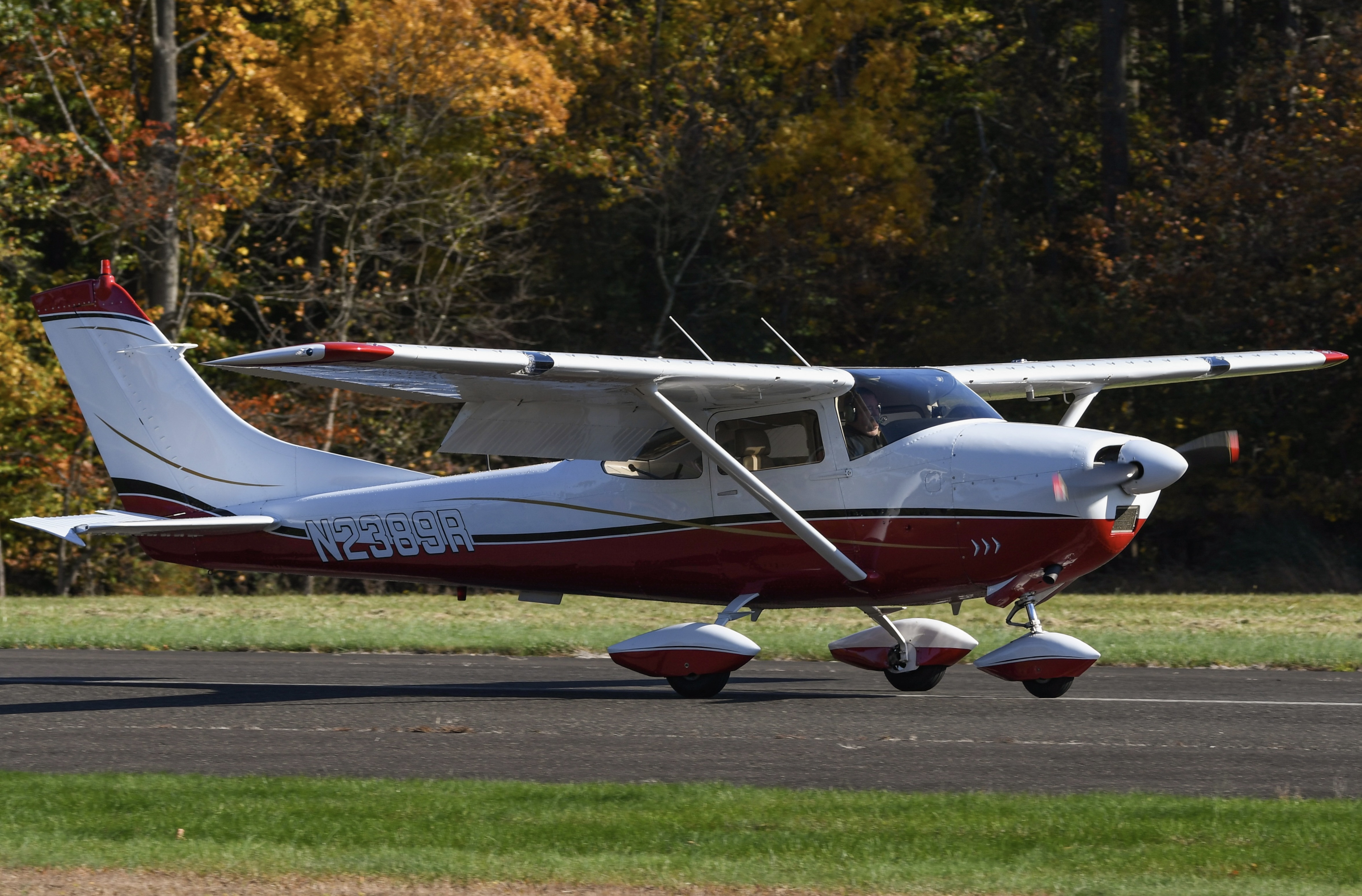 Full size: PRIVATE Cessna 182 Skylane N2389R at Flying W Airport