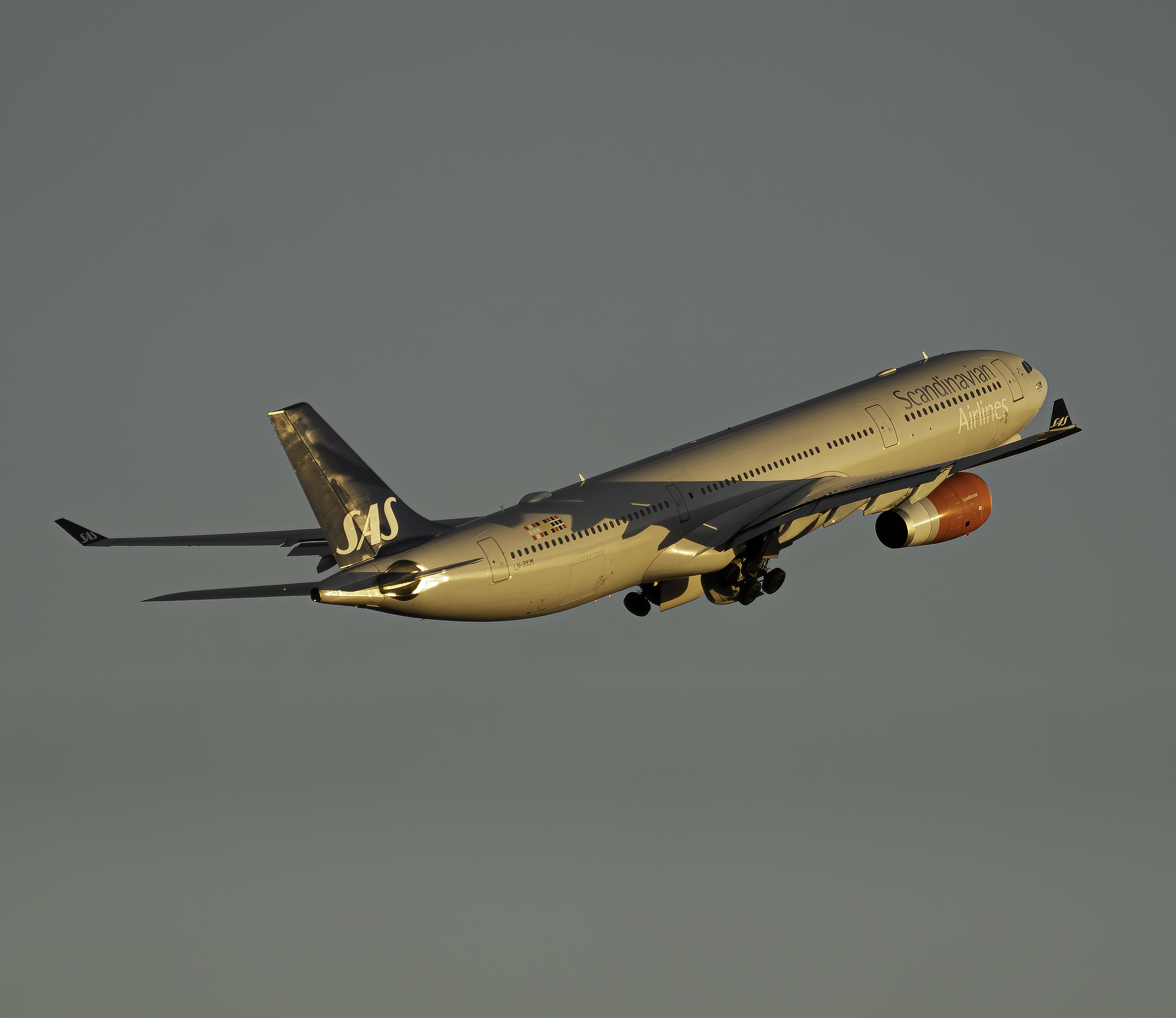 Full size: Scandinavian Airlines Airbus A330-300 LN-RKM at Newark Liberty International Airport
