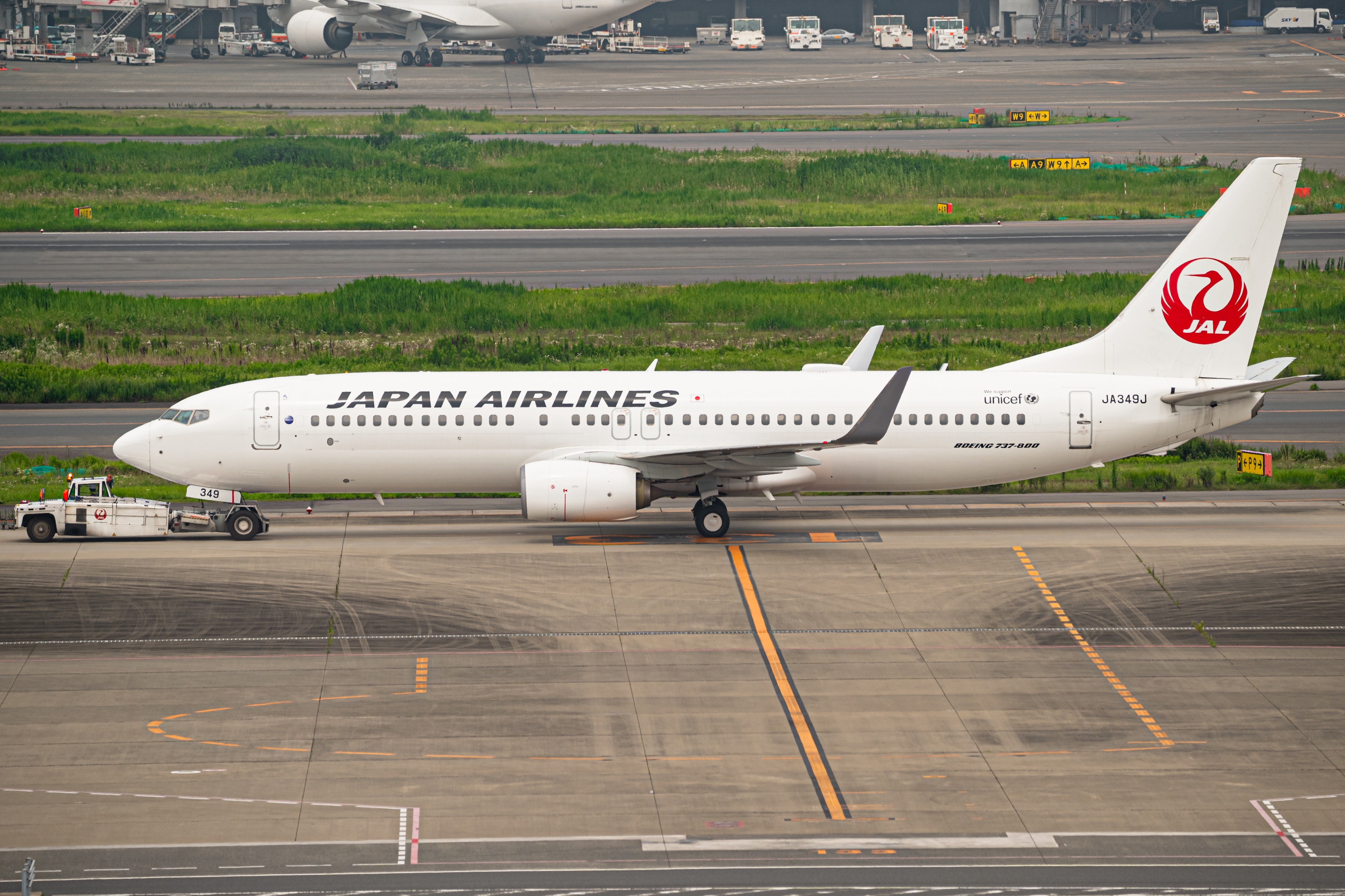 Full size: Japan Airlines Boeing 737-800 JA349J at Tokyo-Haneda Airport