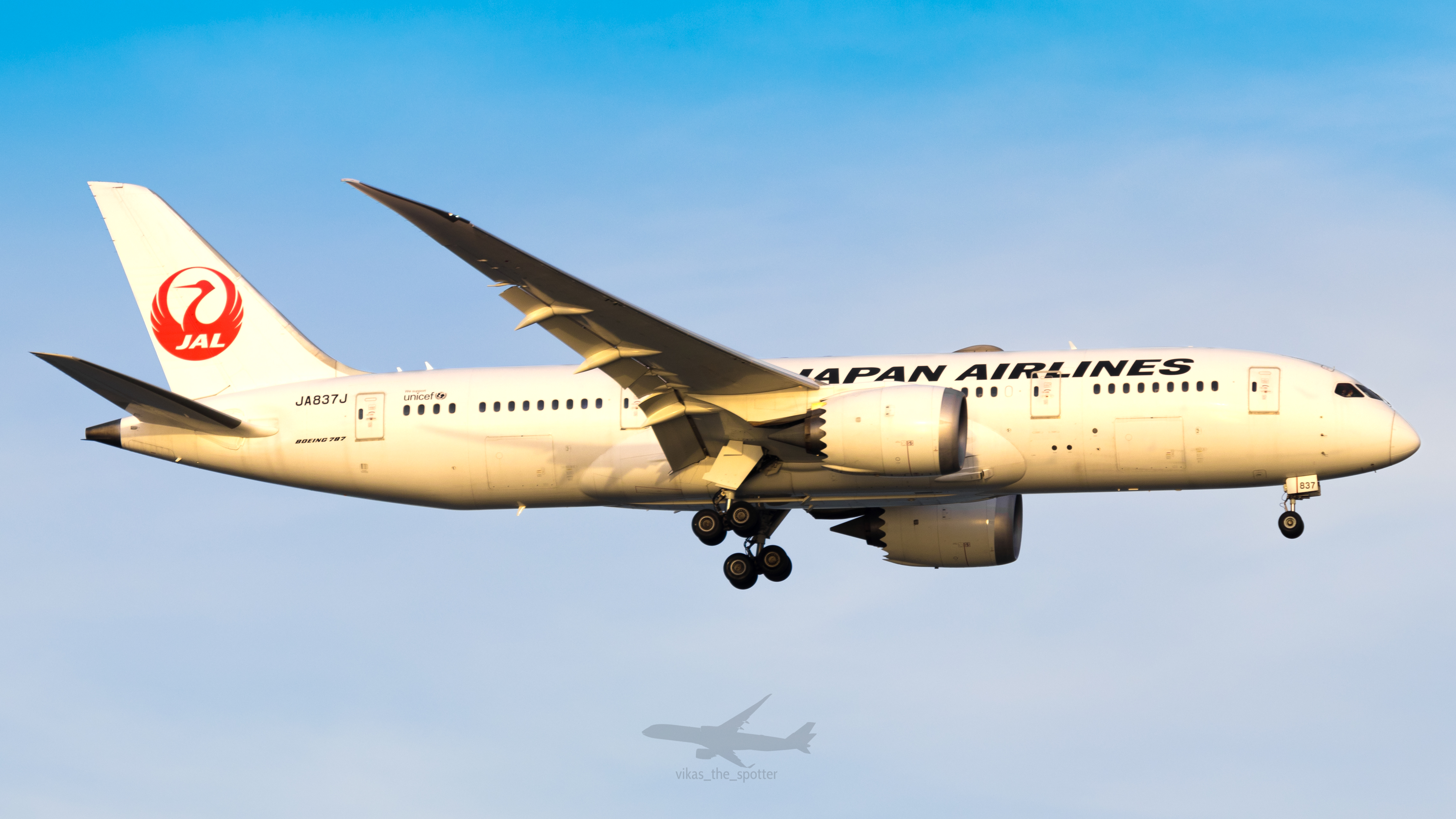Full size: Japan Airlines Boeing 787-8 JA837J at Singapore-Changi Airport