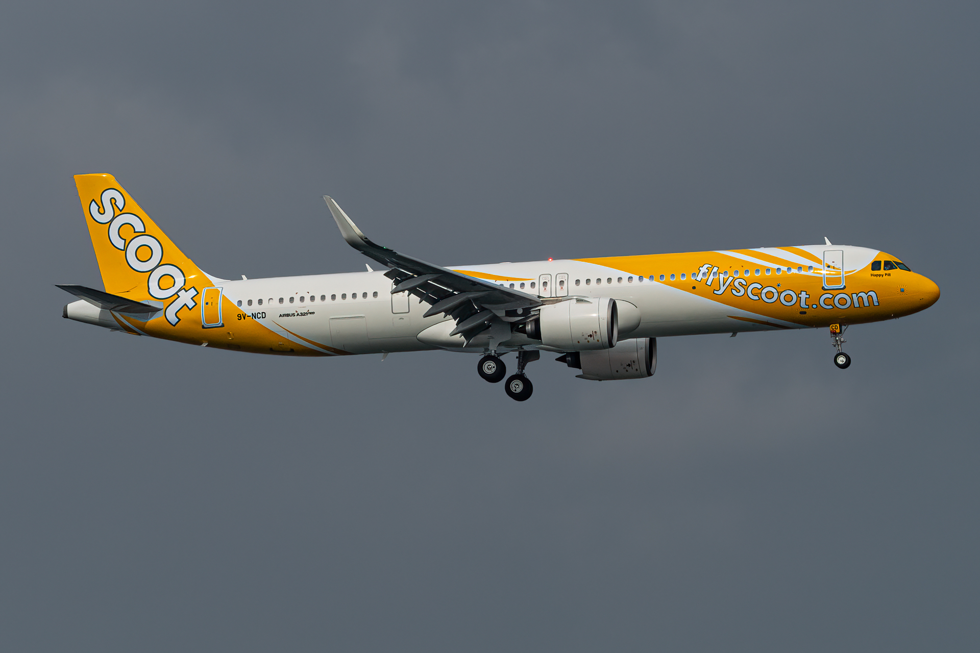 Full size: Scoot A321NEO 9V-NCD at Singapore-Changi Airport