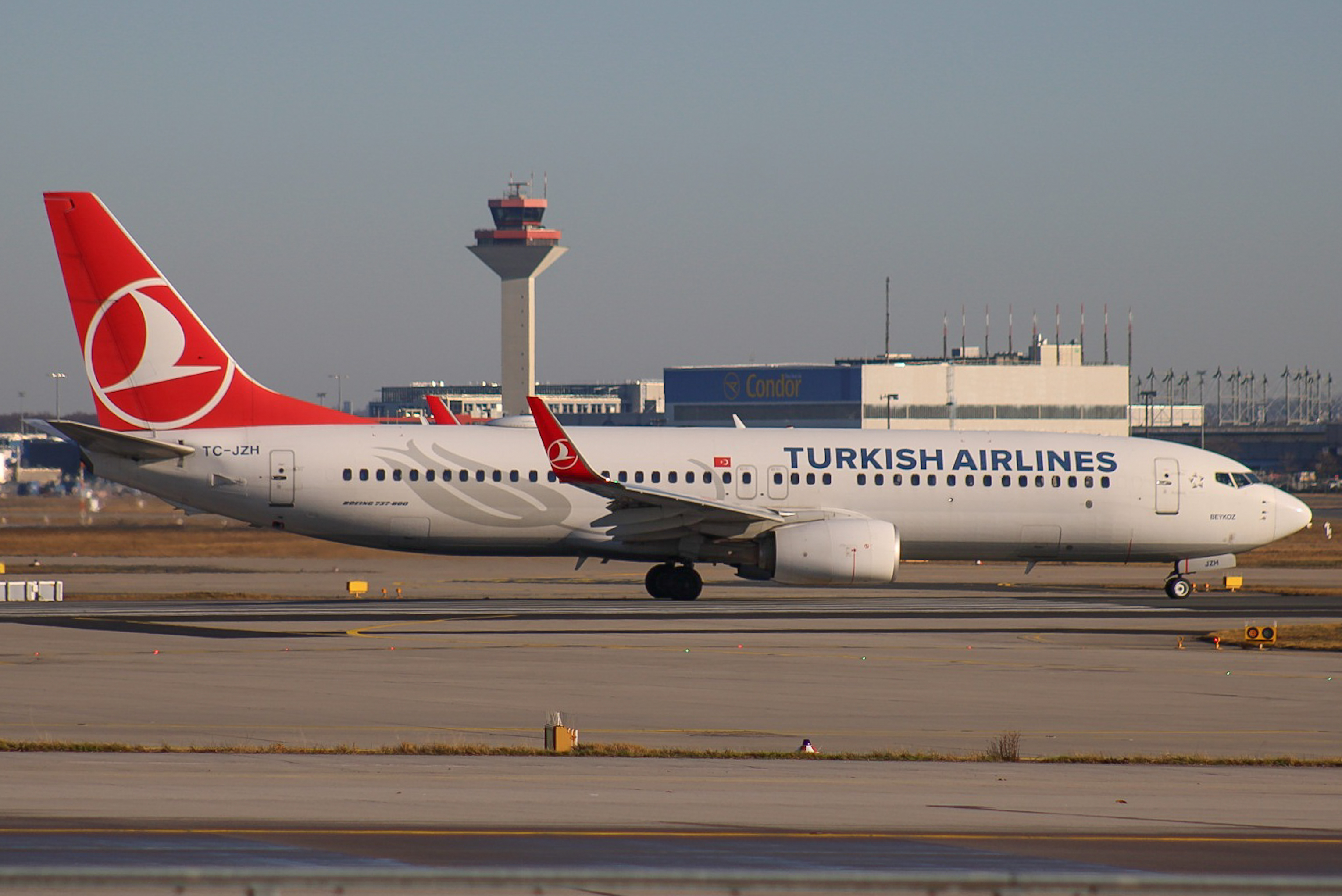 Full size: Turkish Airlines  Boeing 737-800 TC-JZH at Frankfurt International Airport